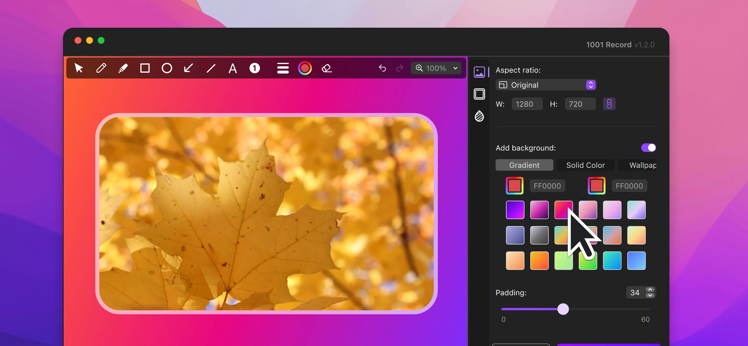 1001 record adds background to screenshots
