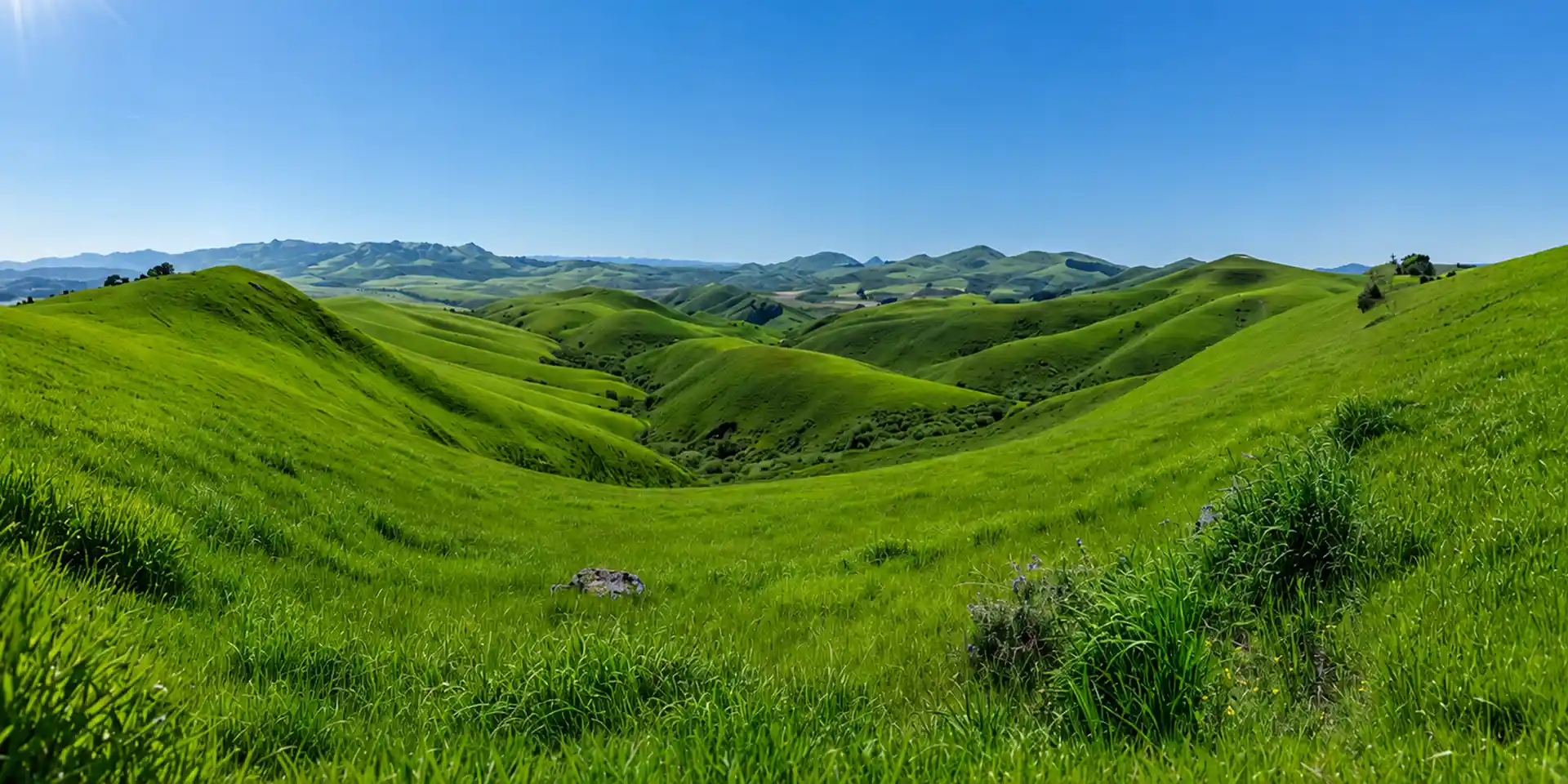 Hills Landscape