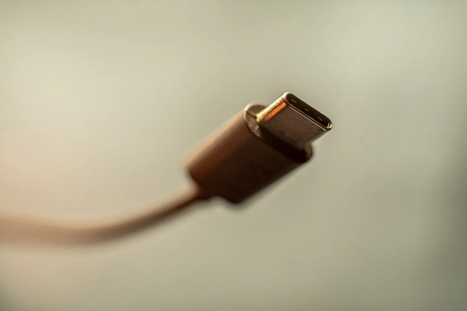 Close-up of a USB-C cable connector in warm light against a soft grey background