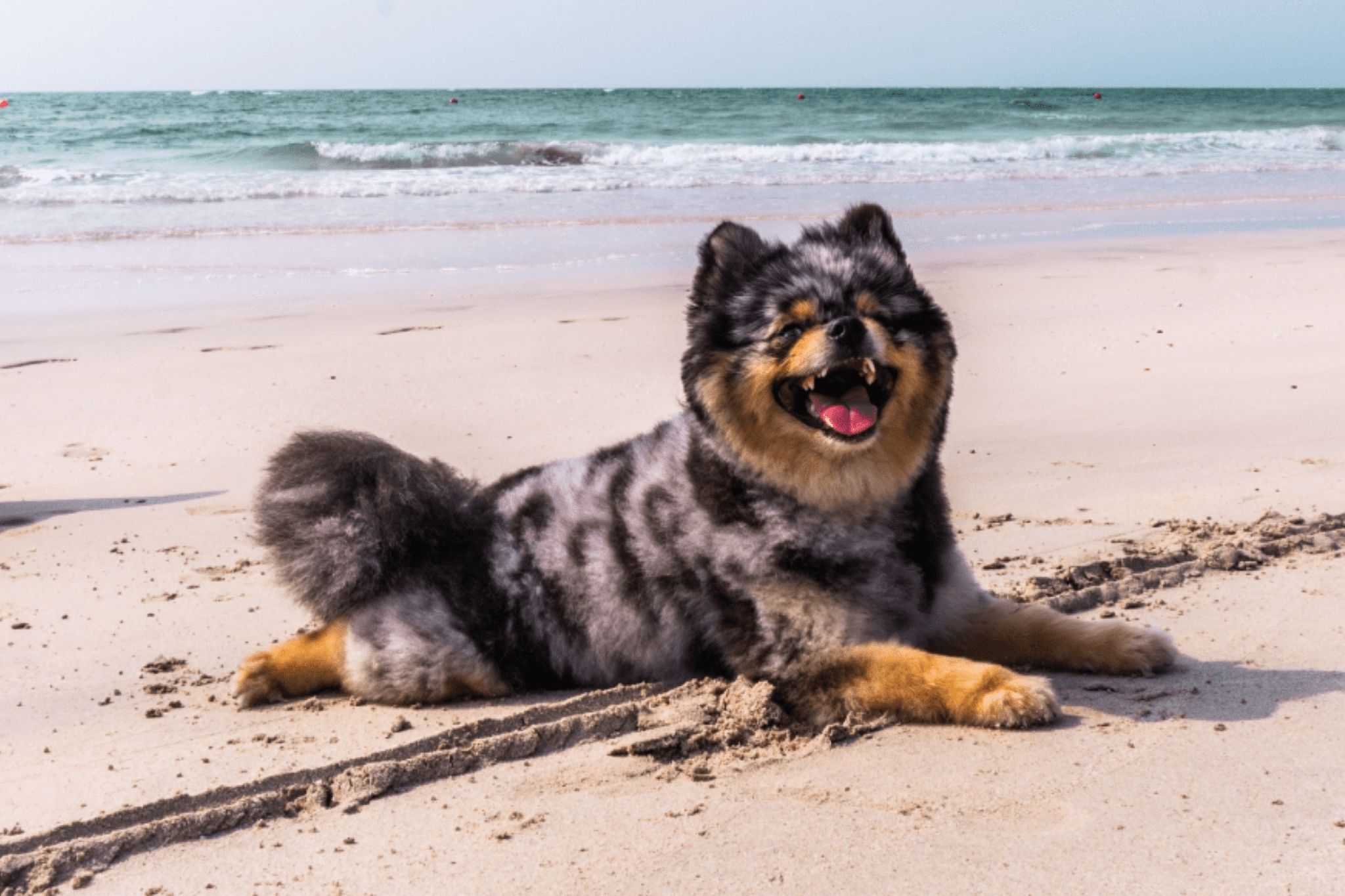 Lumi Beach