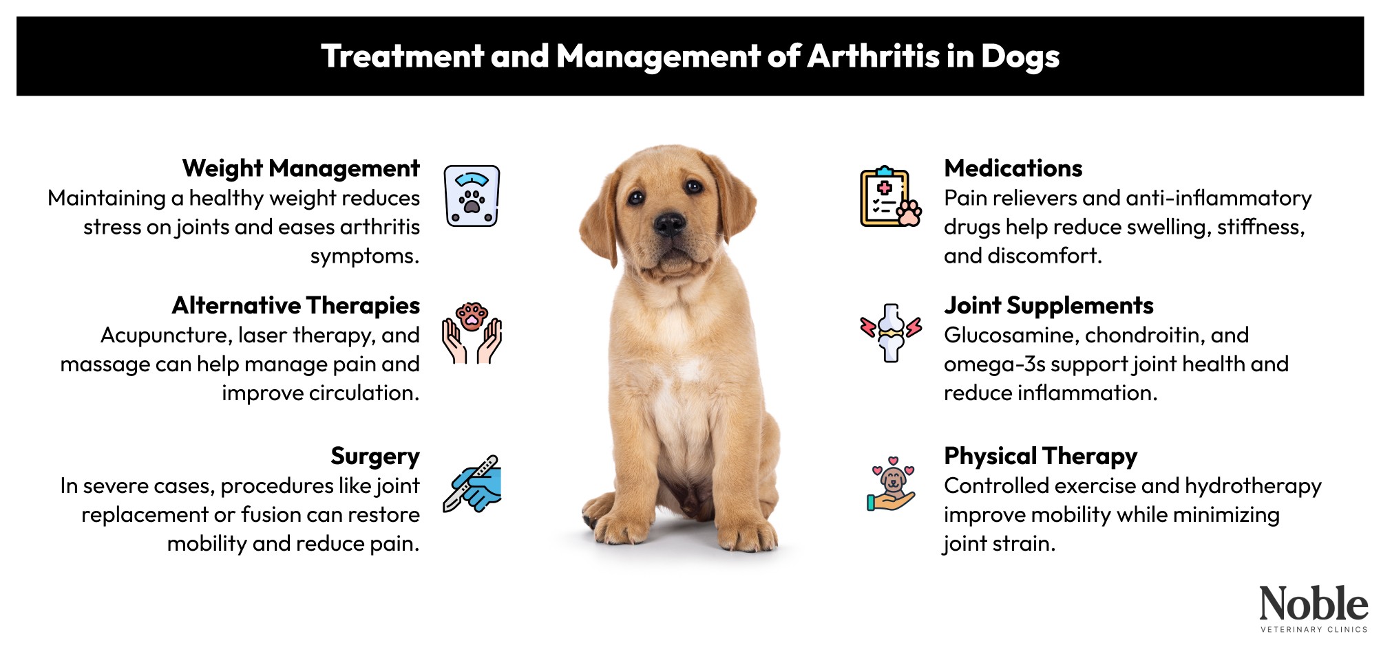 Treatment and Management of Arthritis in Dogs