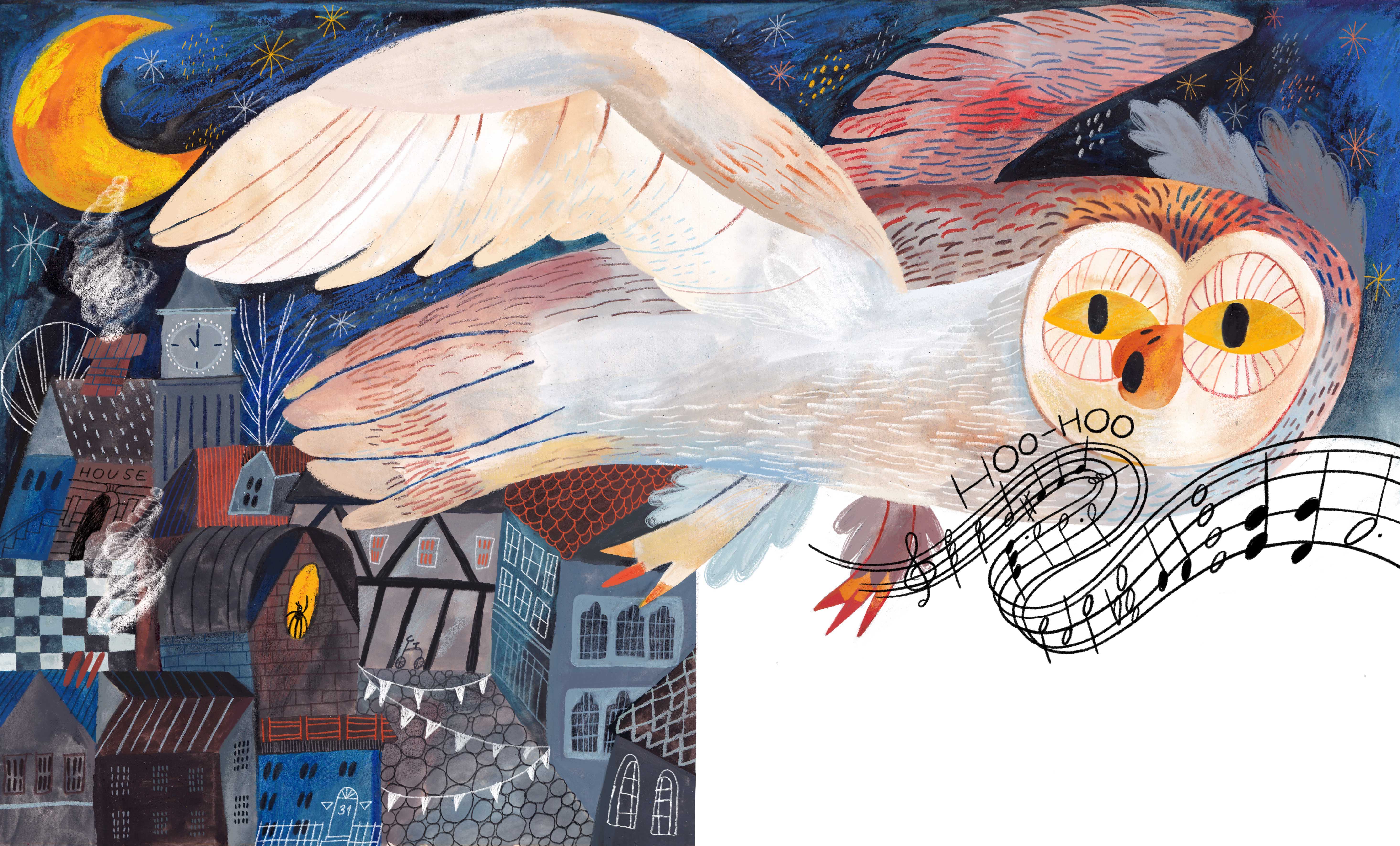 Echo the Music Spider. Picture book