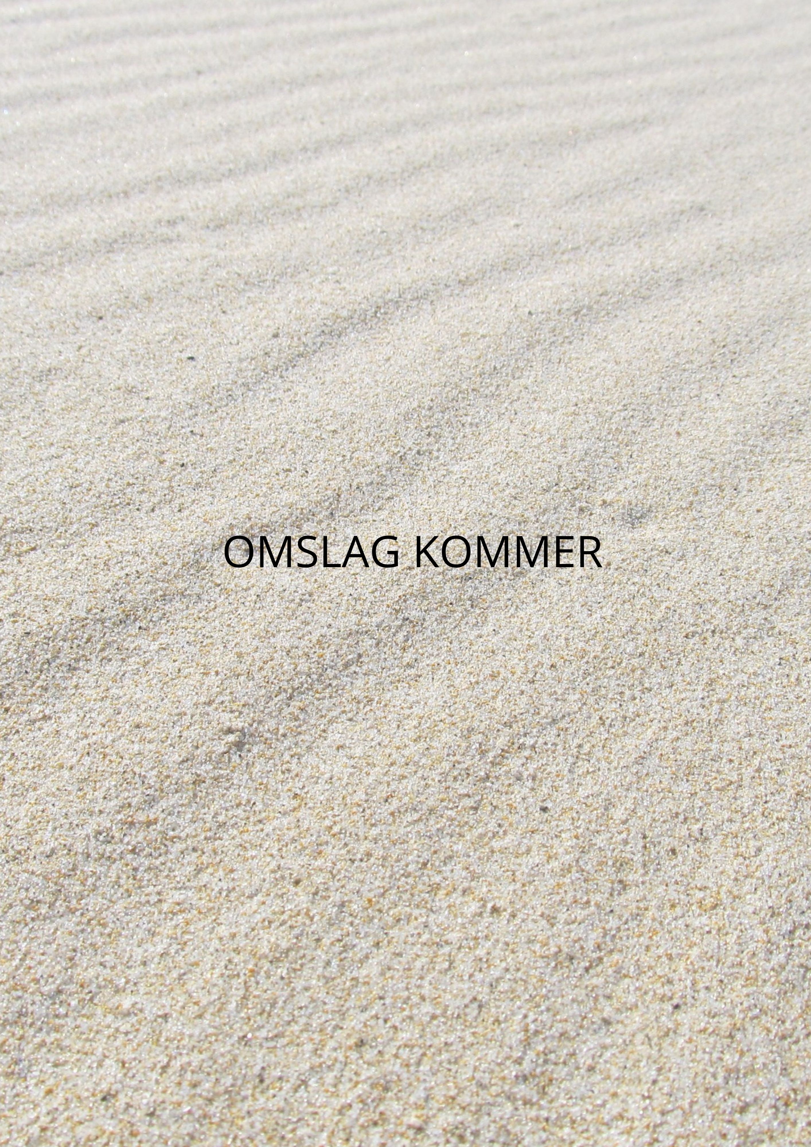 Bokomslag for Rødtangen Camping Blues