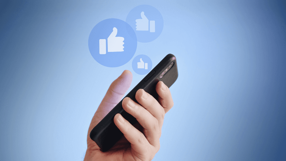 Building online reputation