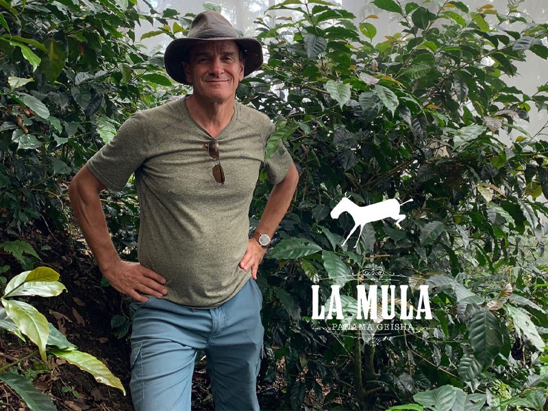 Willem Boot - Finca Sophia & Finca La Mula