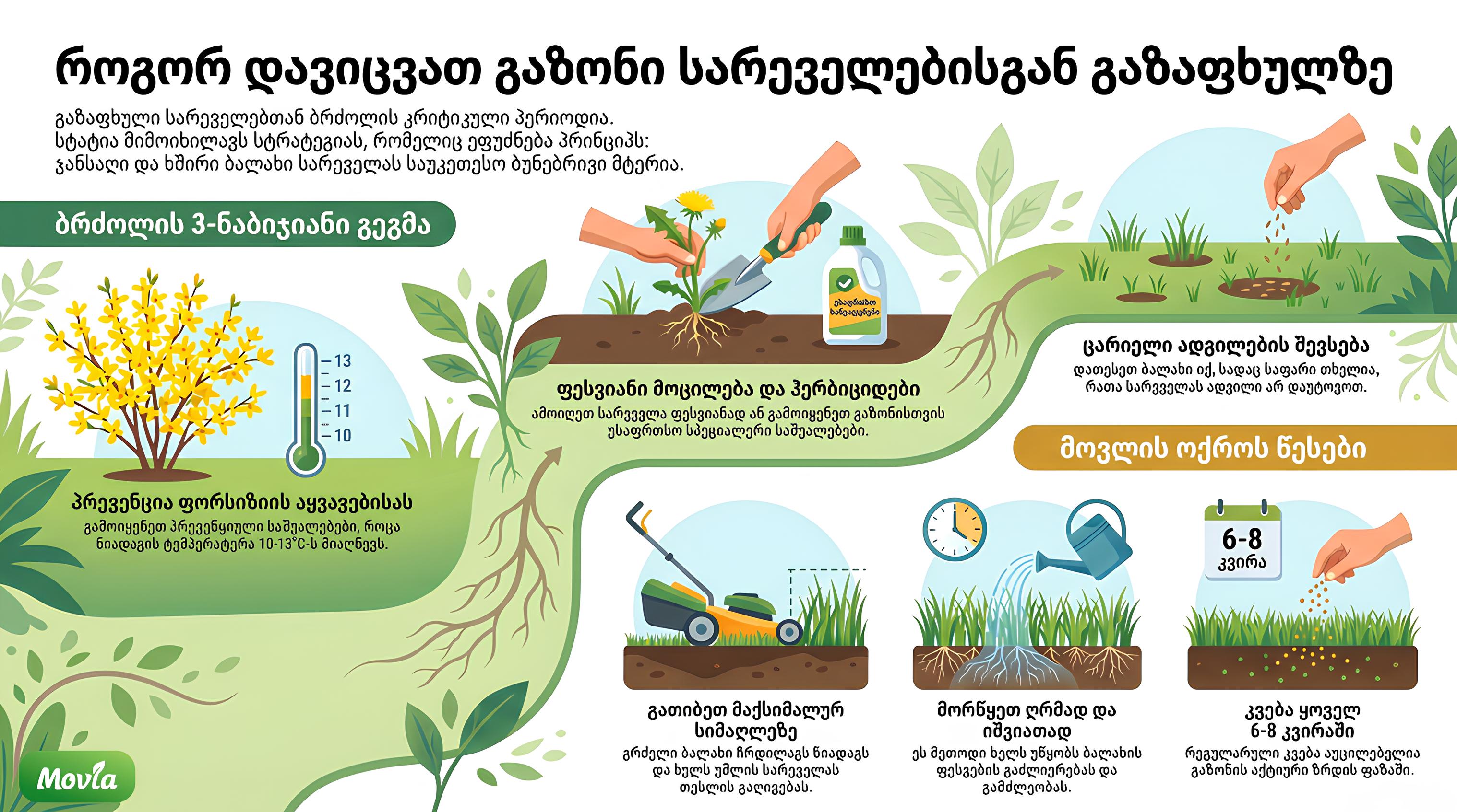 სურათზე გამოსახულია რჩევები თუ როგორ უნდა დავიცვათ გაზონი სარეველებისგან გაზაფხულზე
