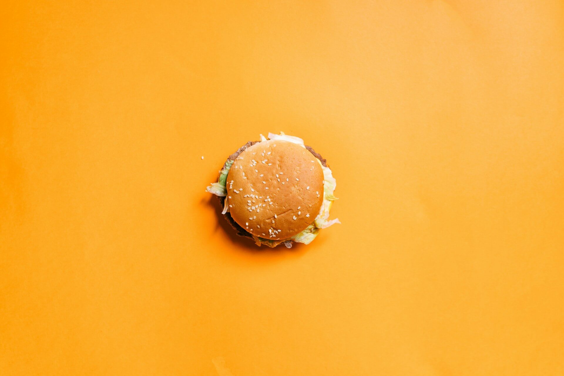 burger on orange background