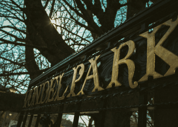 Discovering the best of Vondelpark: A must-see Amsterdam gem