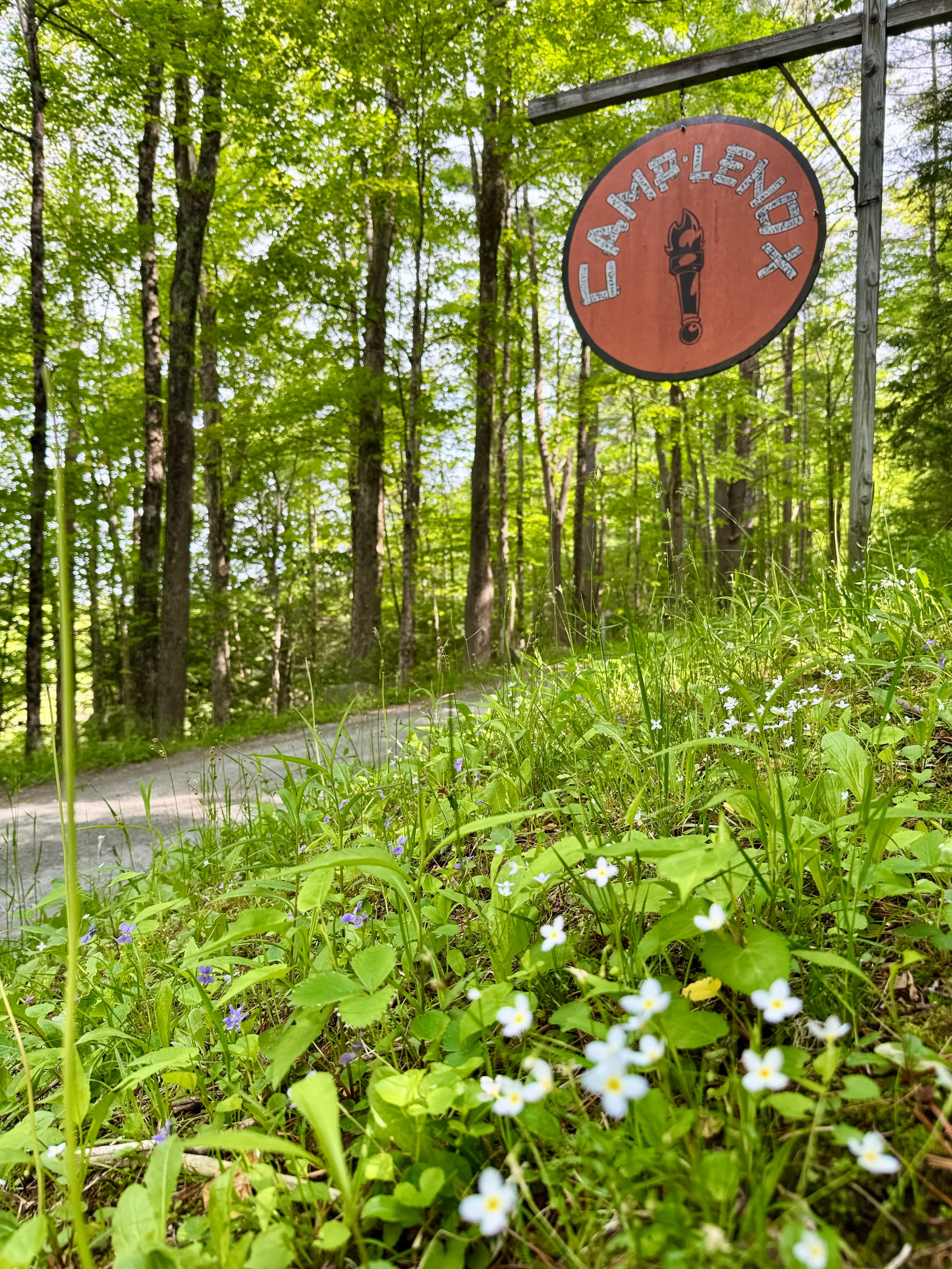 Wooded walking path through the forest at Camp Lenox