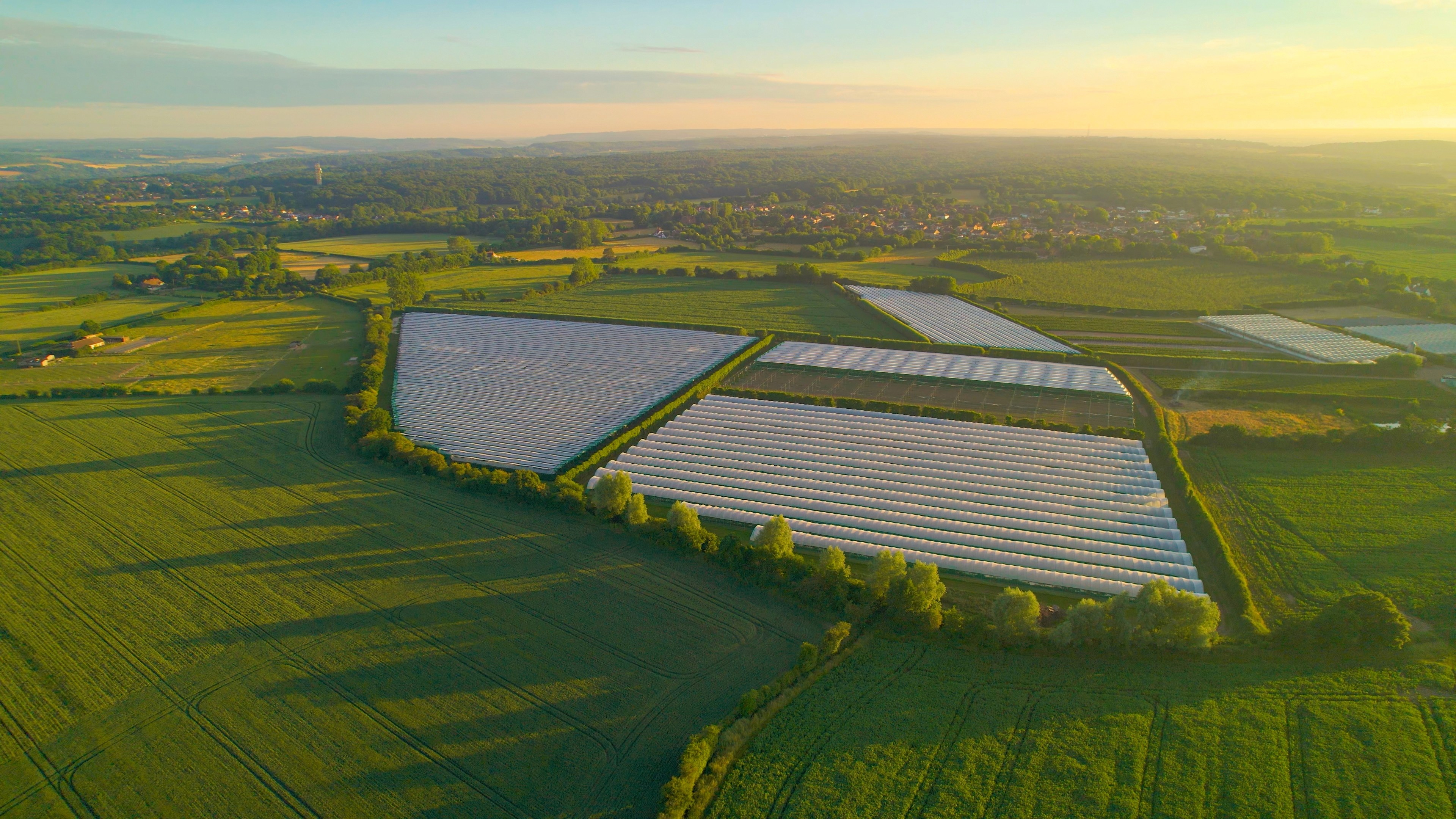 UK publishes final sustainability standards