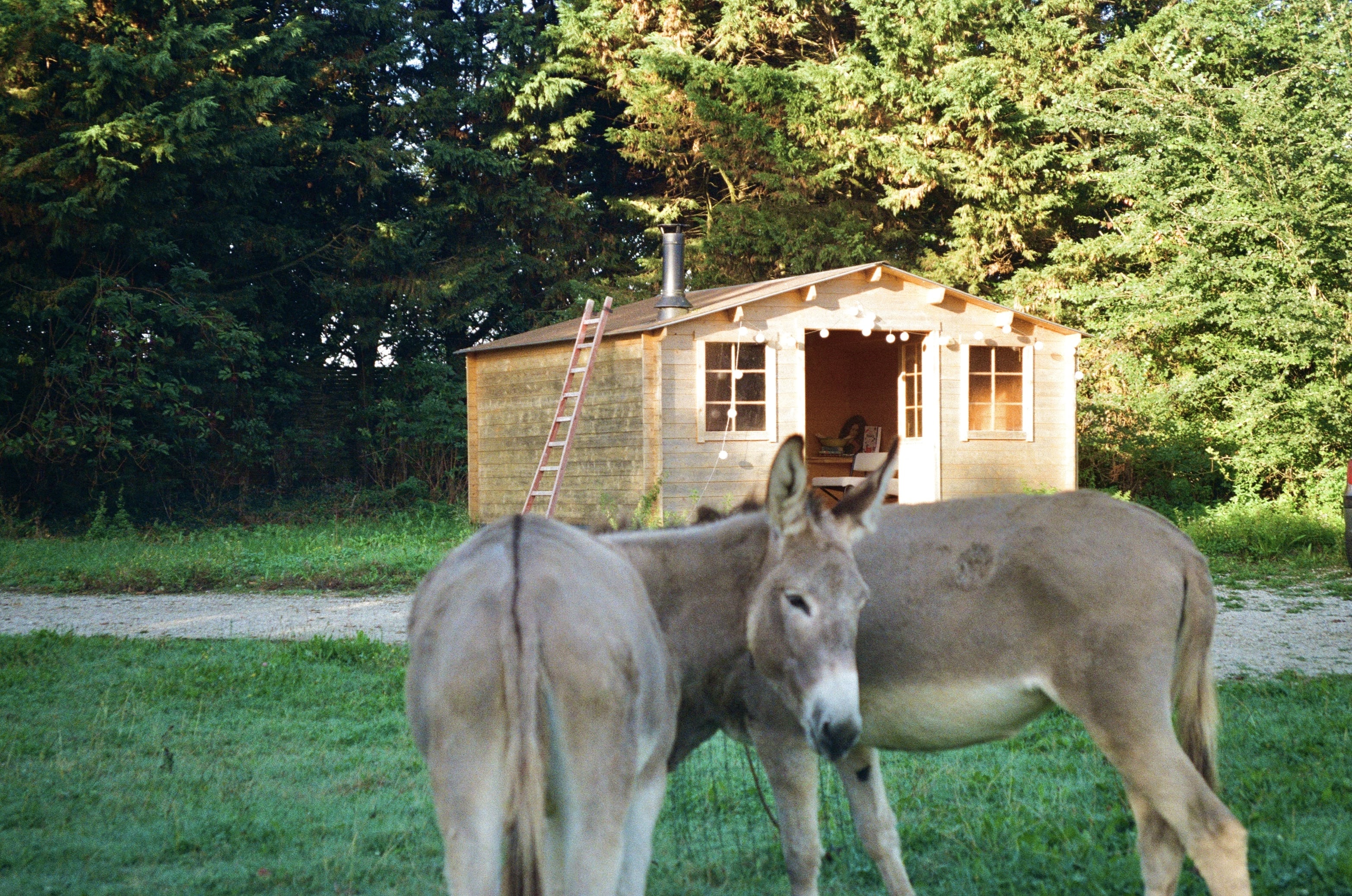 Argentique, canon, Korea, photo, nature, chut d'eau, pacefull, 