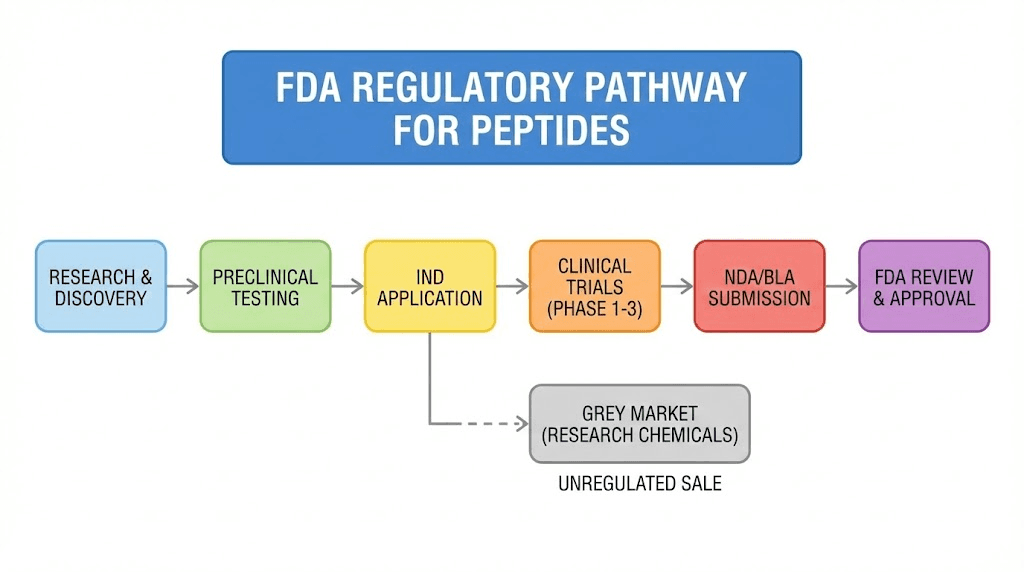 FDA peptide regulation pathway versus grey market distribution