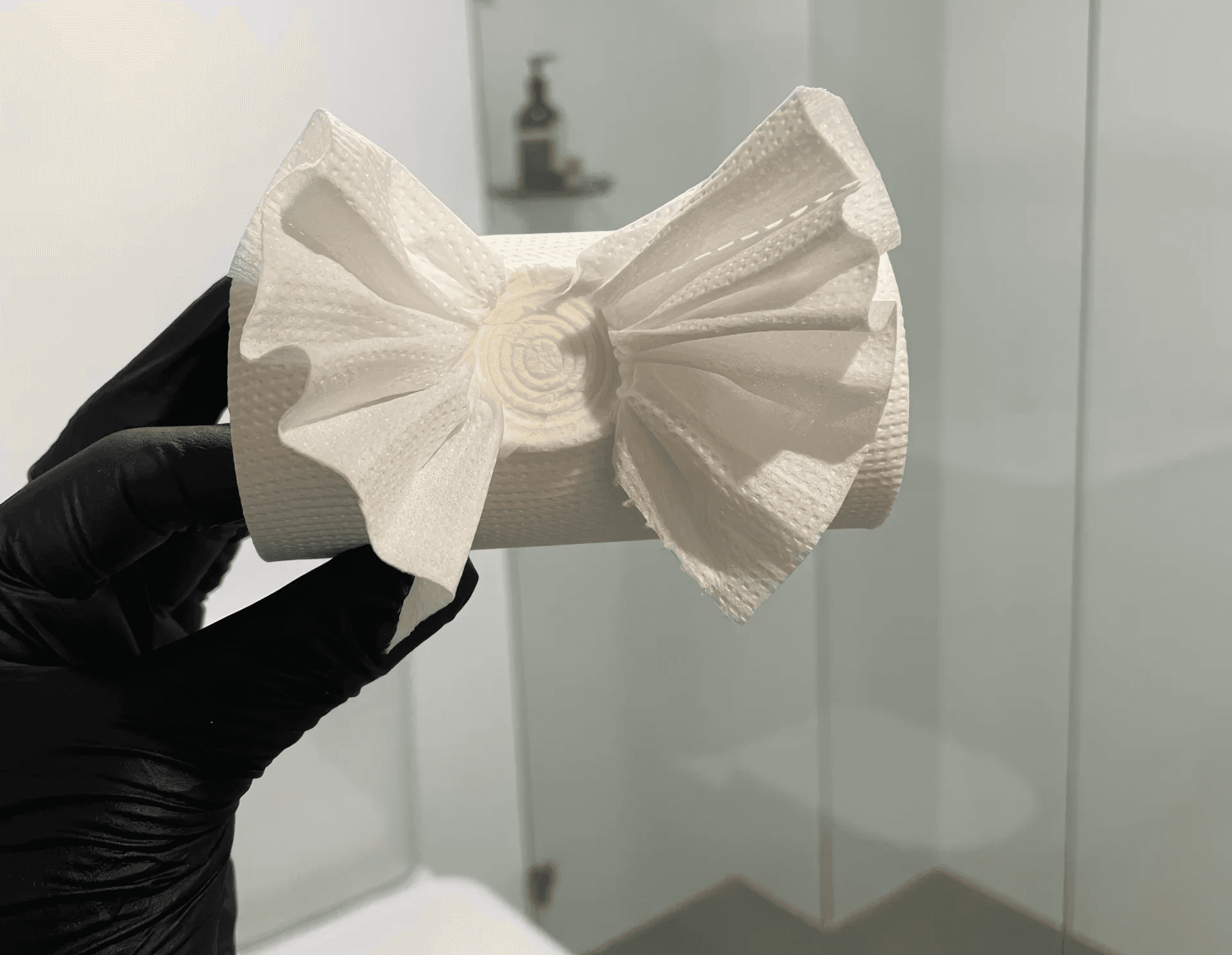 Milwaukee cleaner showing off toilet paper tidy design