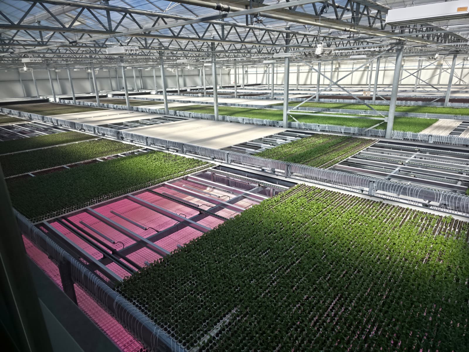 Horti XS B.V. Project The little garden | 0.5 ha