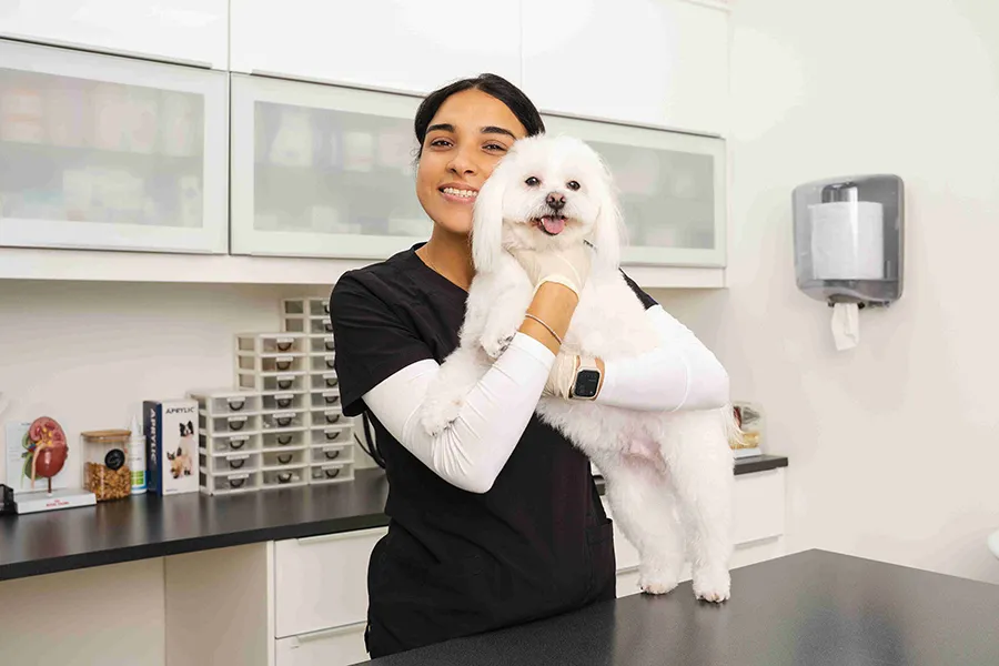 A white dog is being gently hugged by a veterinarian.