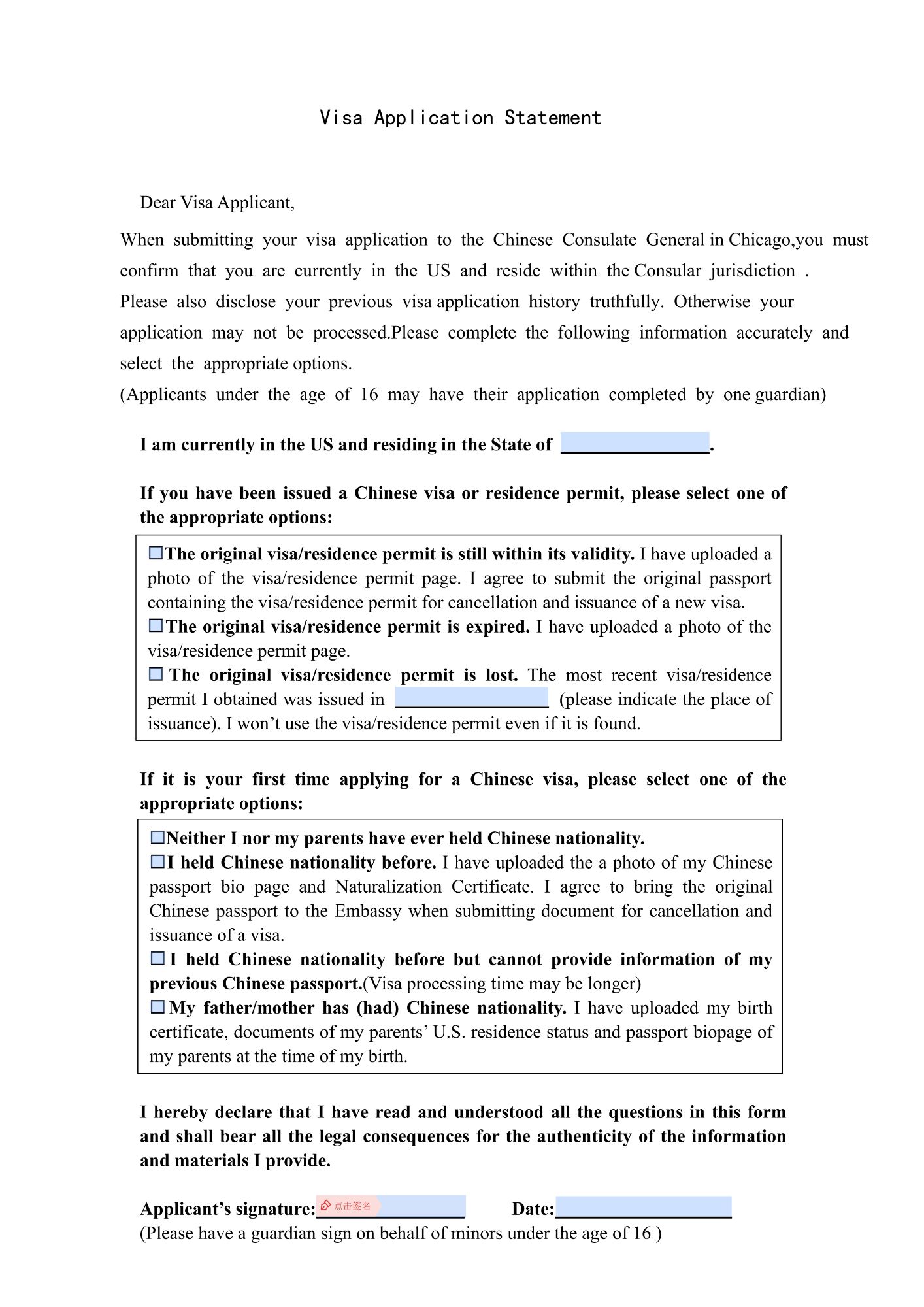 Visa Application Statement Form 