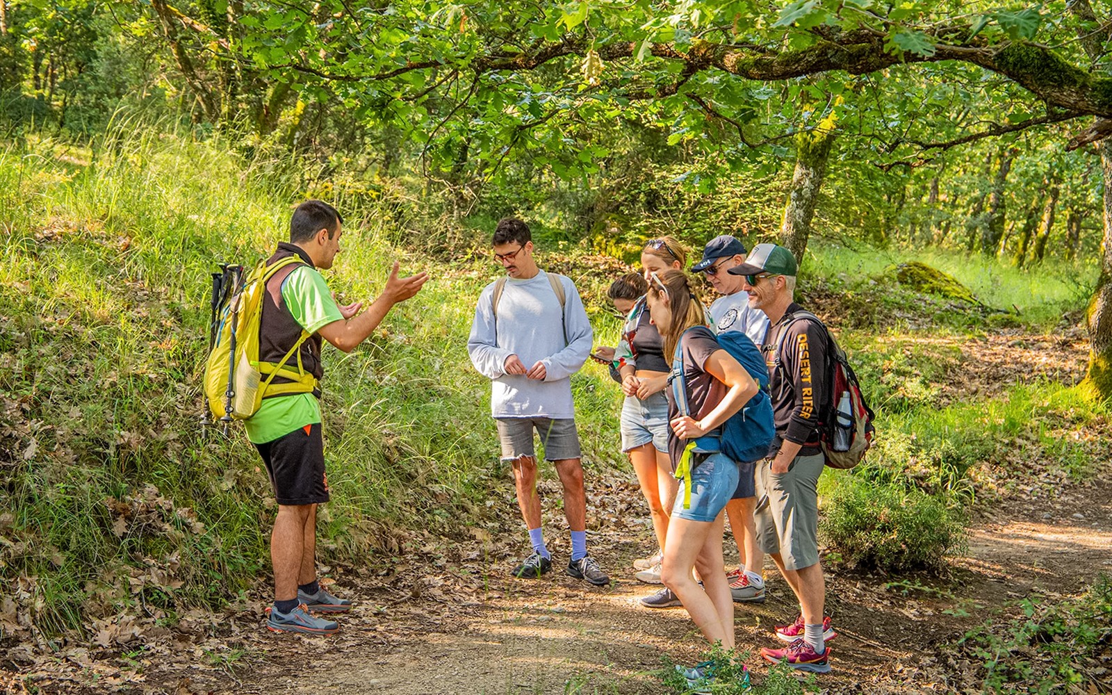 Gasten luisteren naar een gids tijdens een wandeling in het bos tijdens de Meteora Wandel Tour.