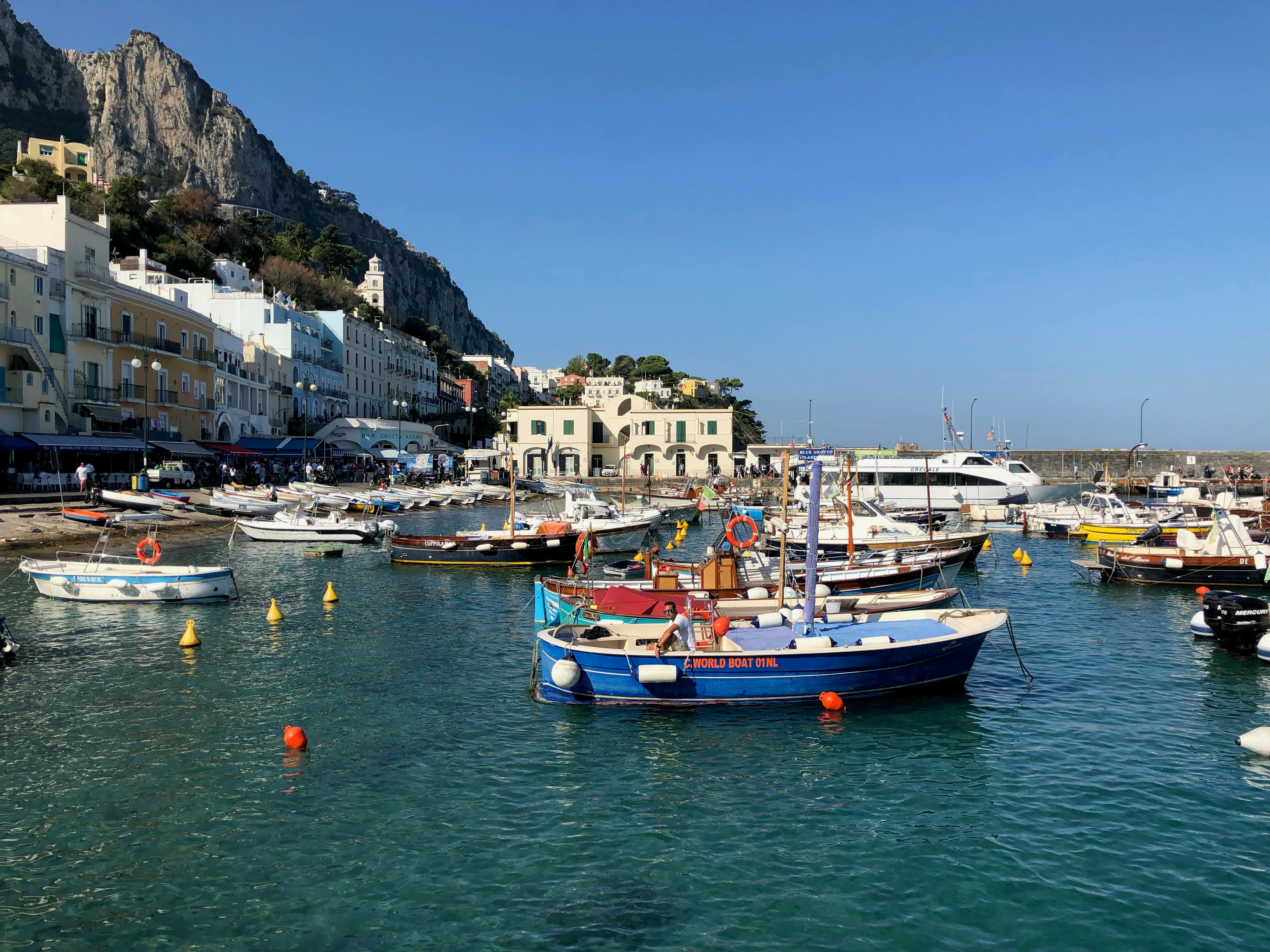 Close-up of a person slicing a fresh eggplant on a wooden table outdoors.