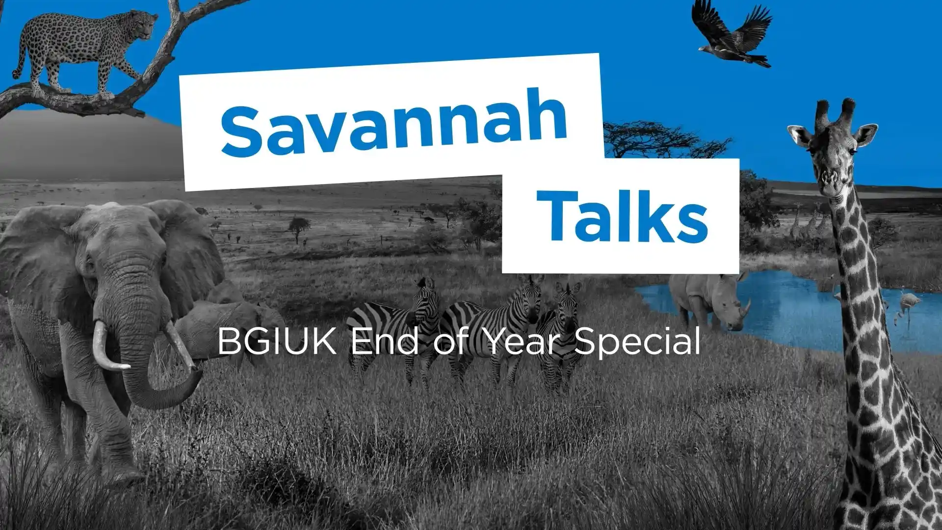 Savannah Talks opening video title frame for the Bupa strategy cascade.