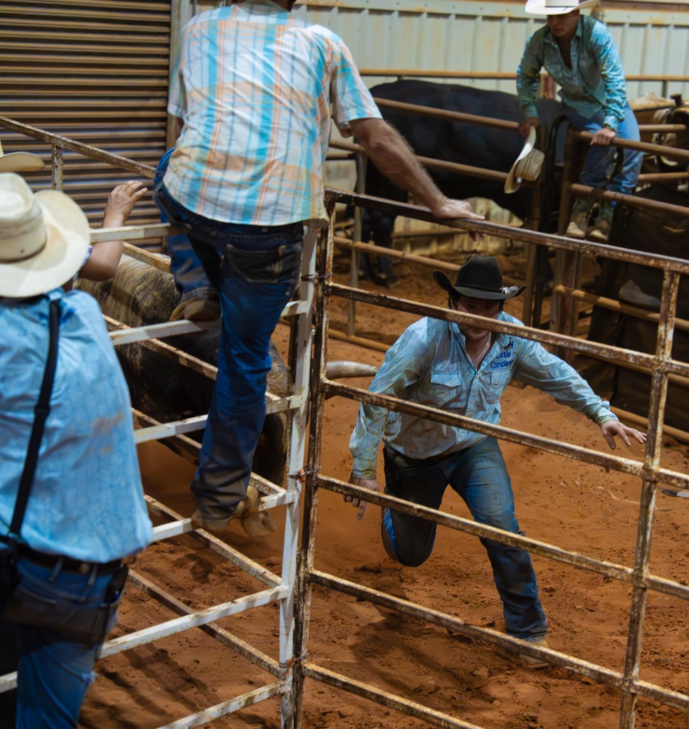 Preston running from bull