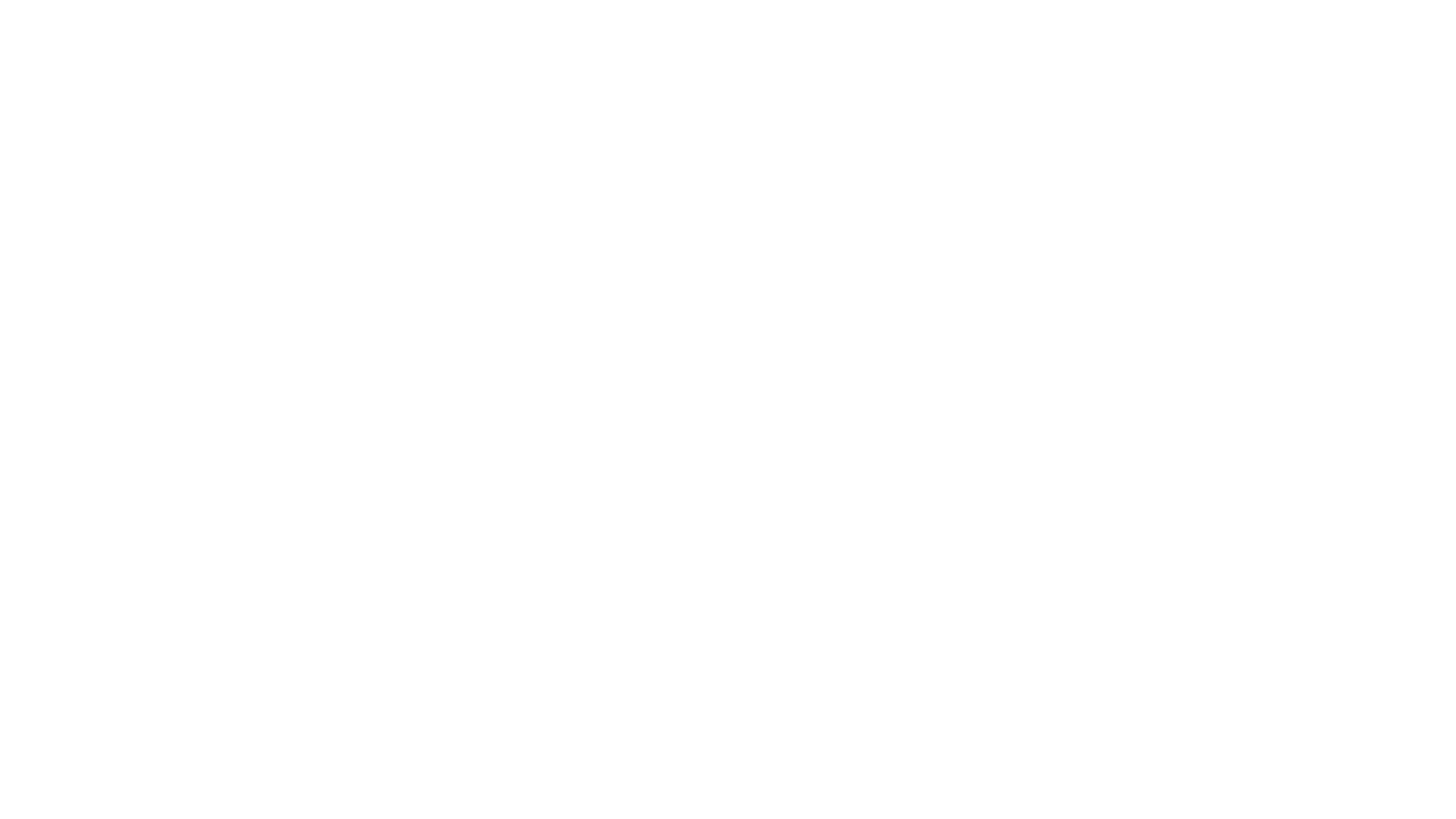 Livohaus Text logo for footer