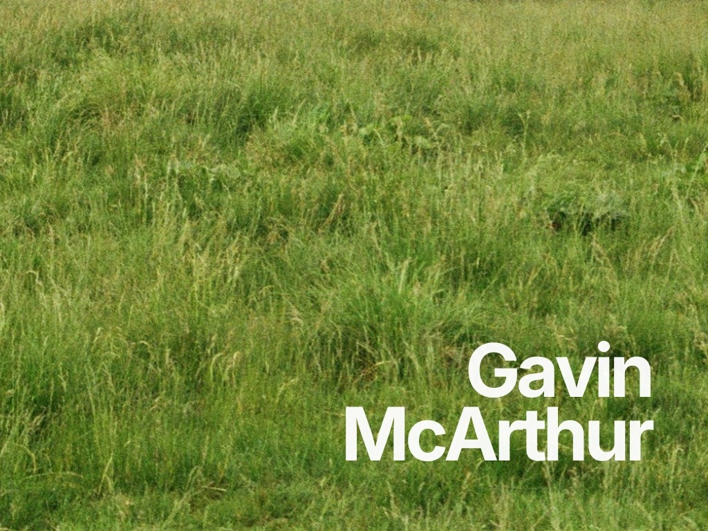 person standing in grass