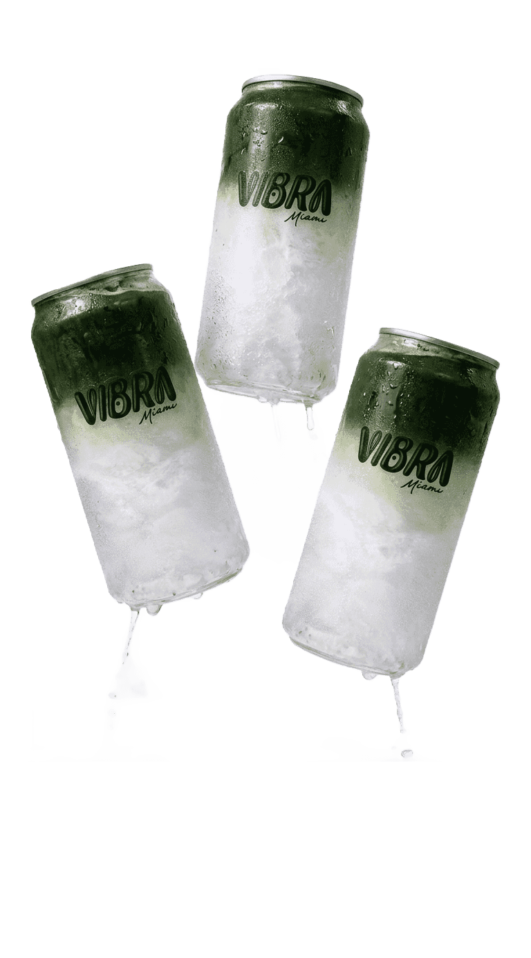 Vector (Background Removed) (Background Removed)