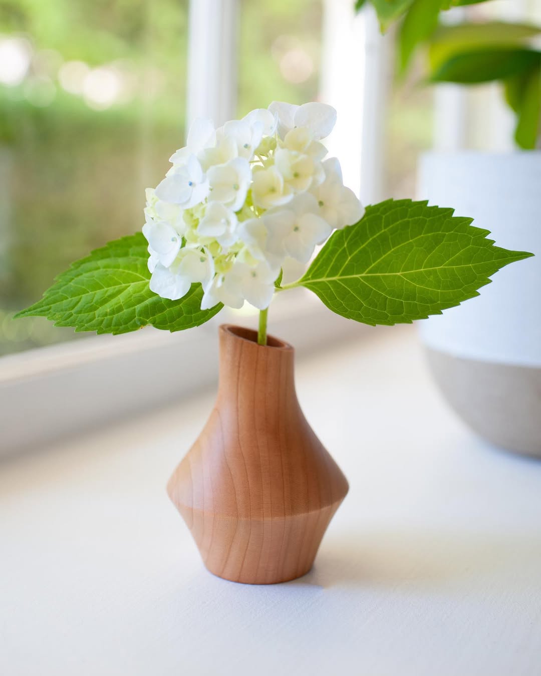 Full moon rising over a dark, silhouetted mountain ridge.