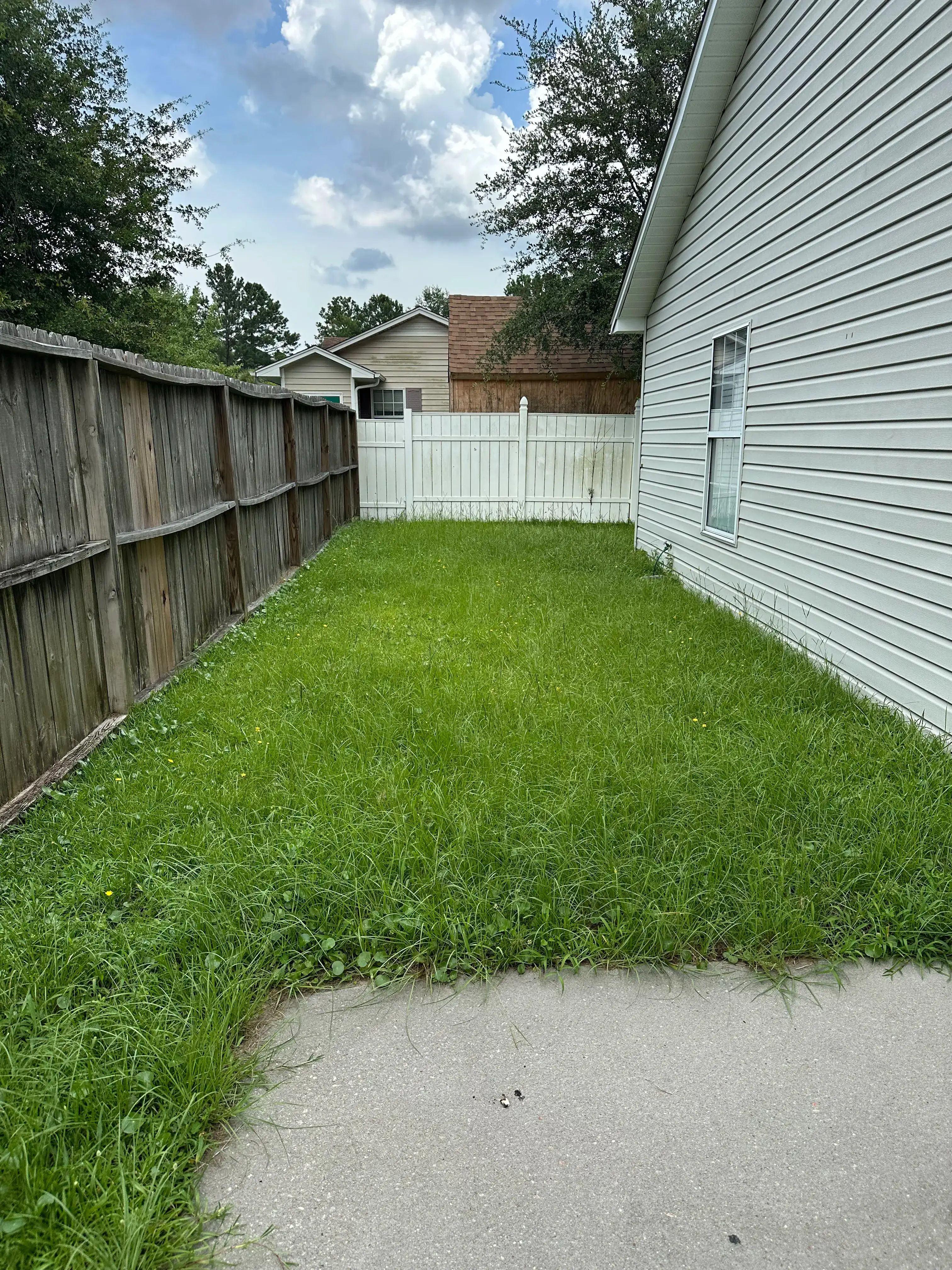 Beautiful landscaped garden with greenery and outdoor design elements.