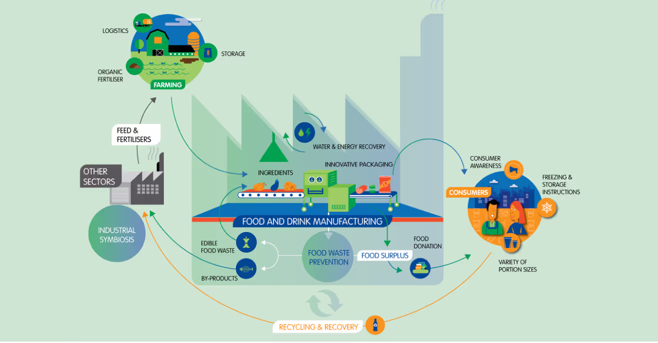 Infographic diagram of a circular food and drink manufacturing system, showing flows between farming, manufacturing, consumers, recycling and recovery