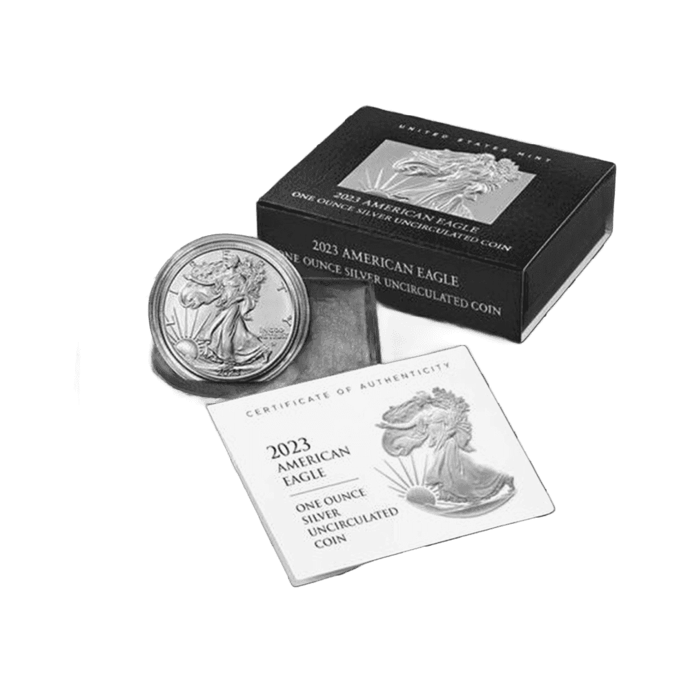 Logo 15 (Background Removed)