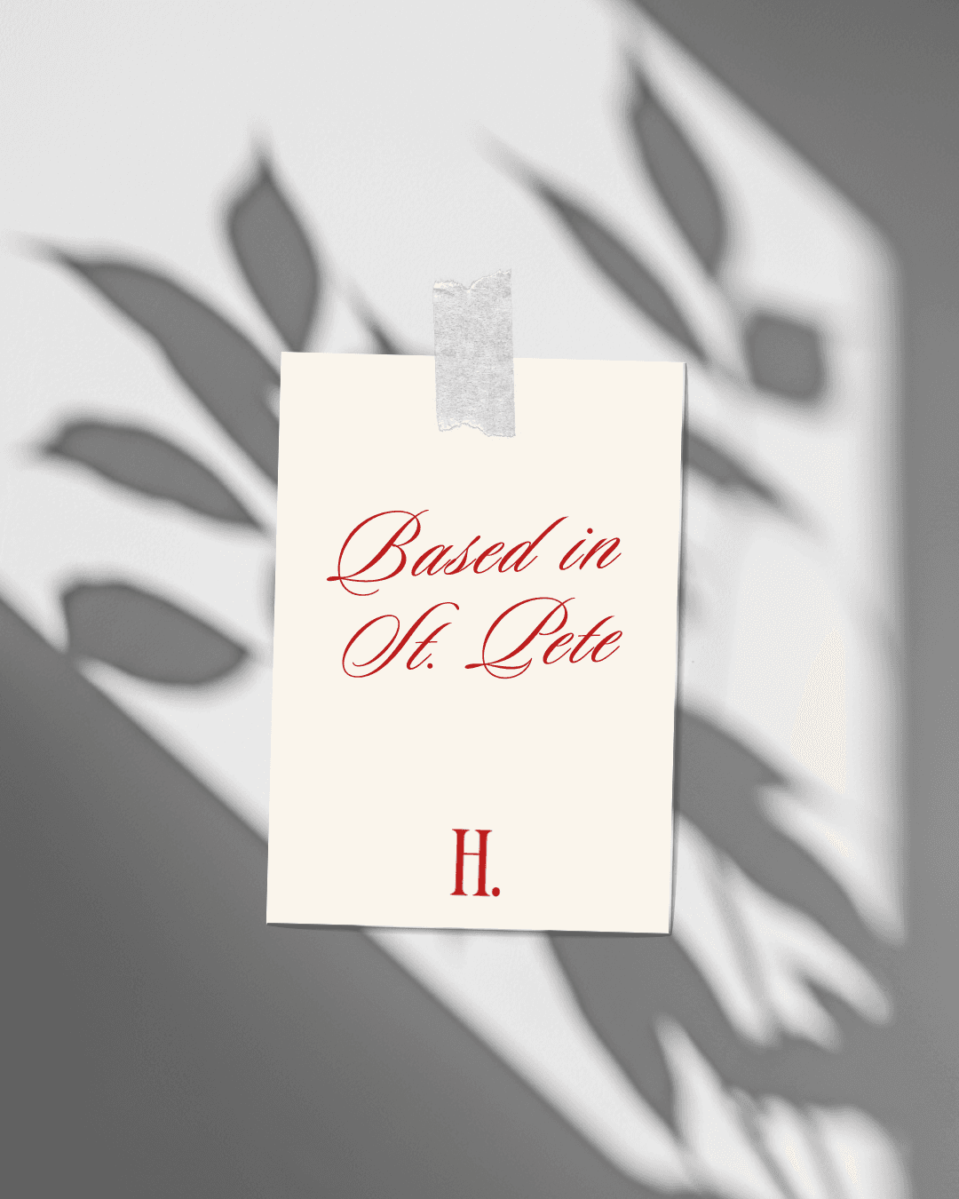 shadow of plant on white wall with Based in St. Pete on a paper taped to background