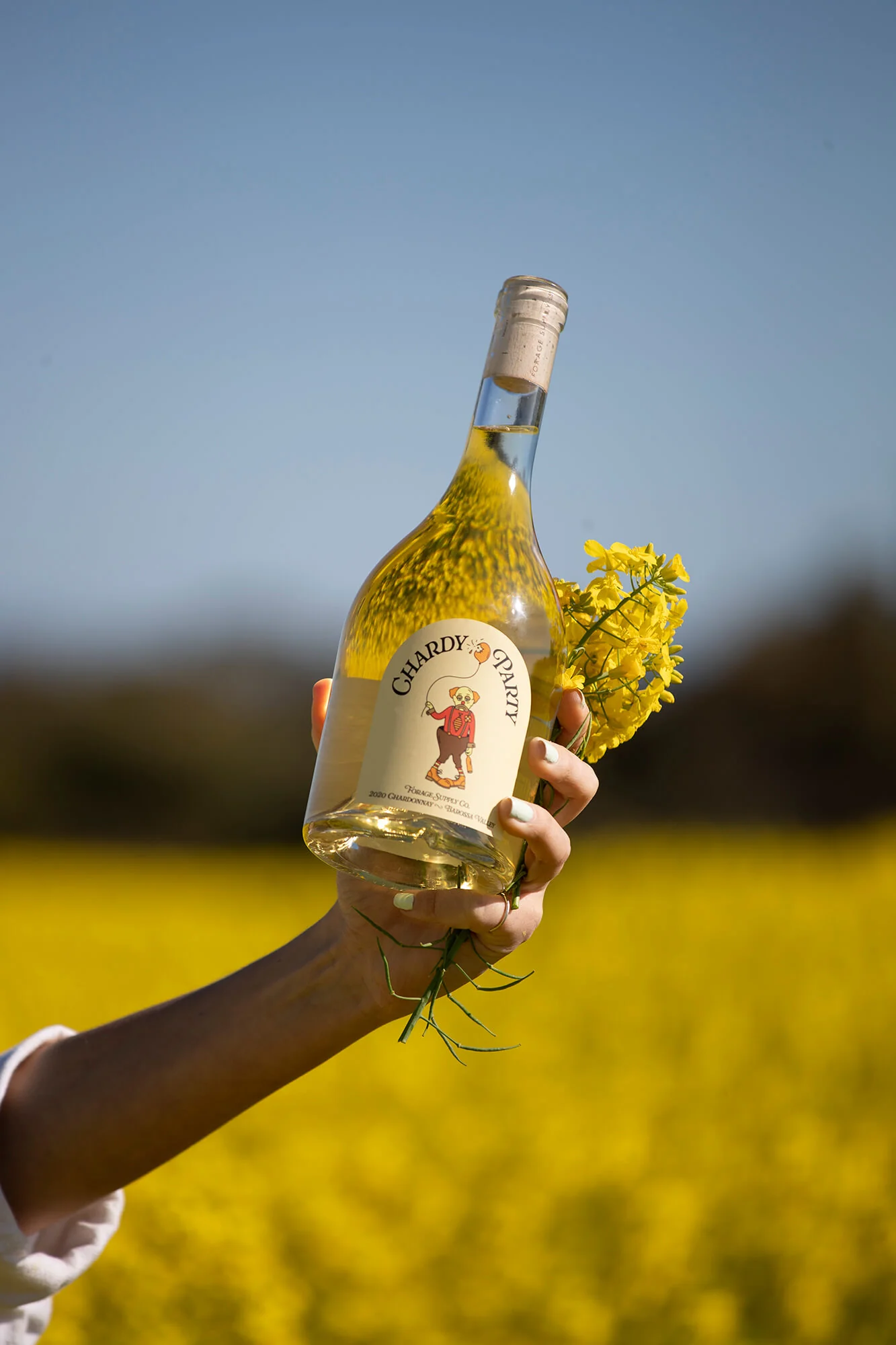 Hand holding a bottle of Chardy Party wine with a canola flower against a yellow canola field