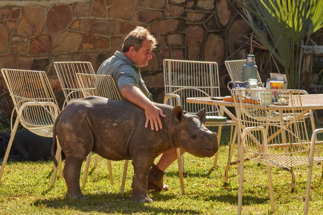 Rocky when he was found by ATS