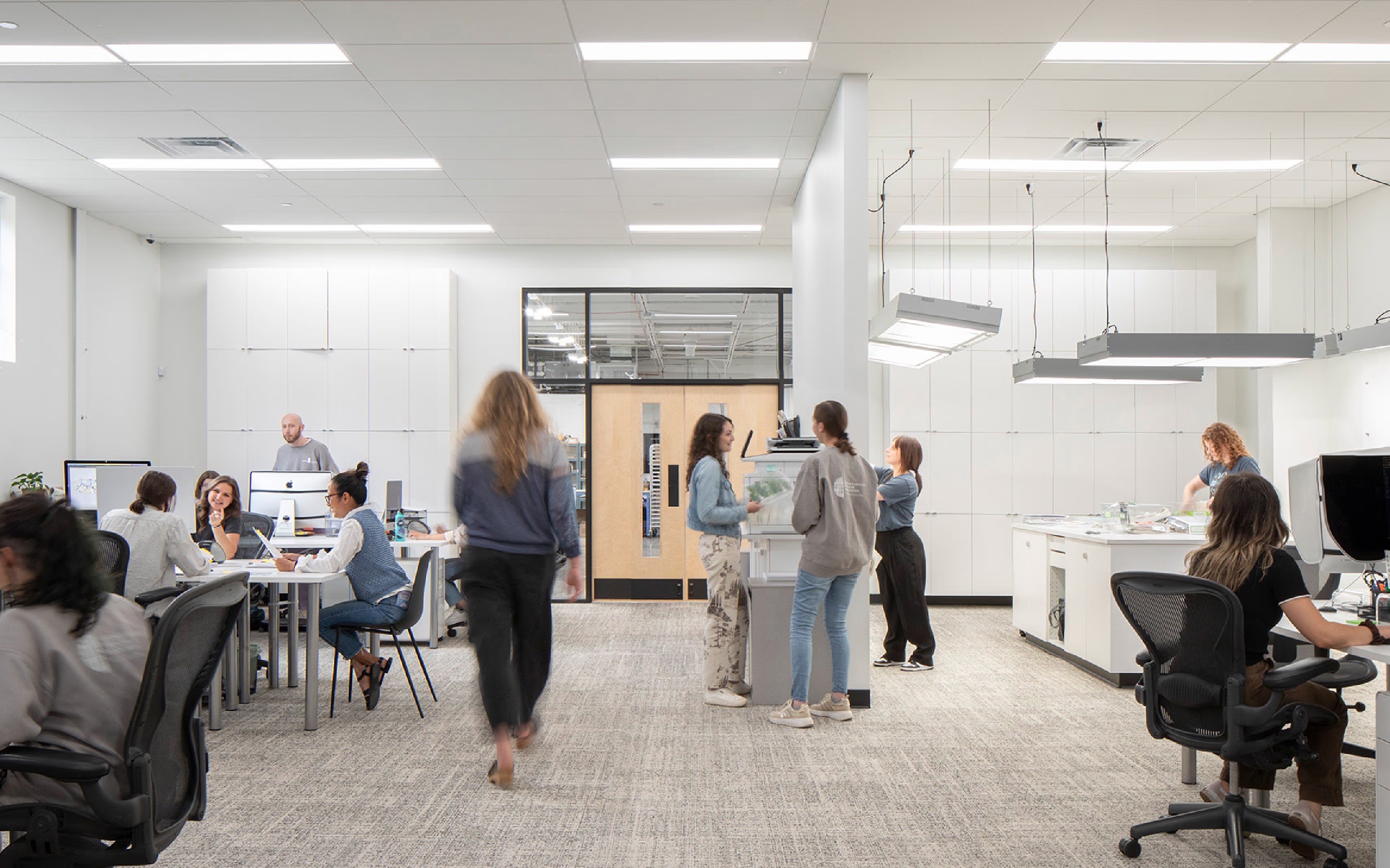 Employees busily collaborating in a bright, modern office.