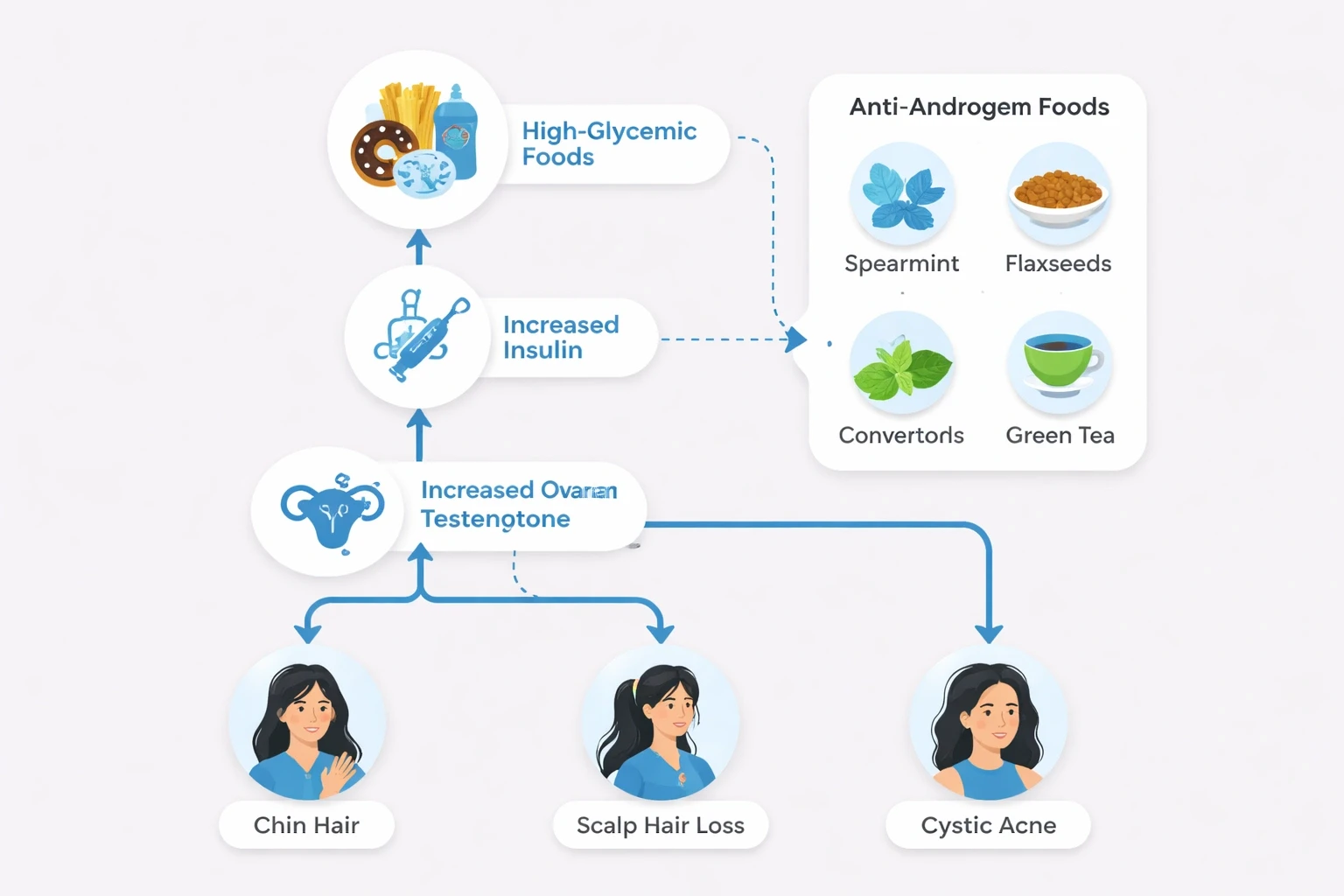 Flowchart showing the hormonal pathway from insulin spikes to increased testosterone and DHT causing symptoms, and dietary foods that help balance hormones.