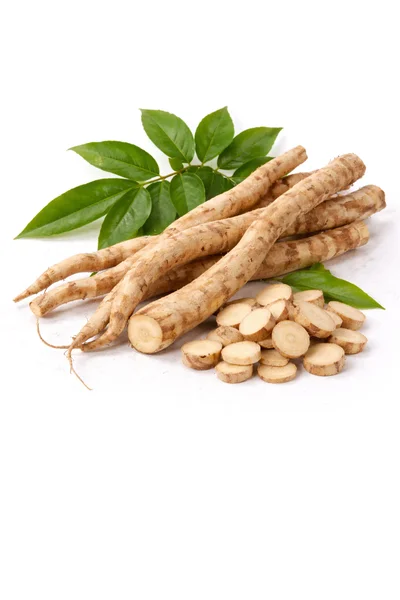 isolated TONGKAT ALI ROOT plant on a white background.
