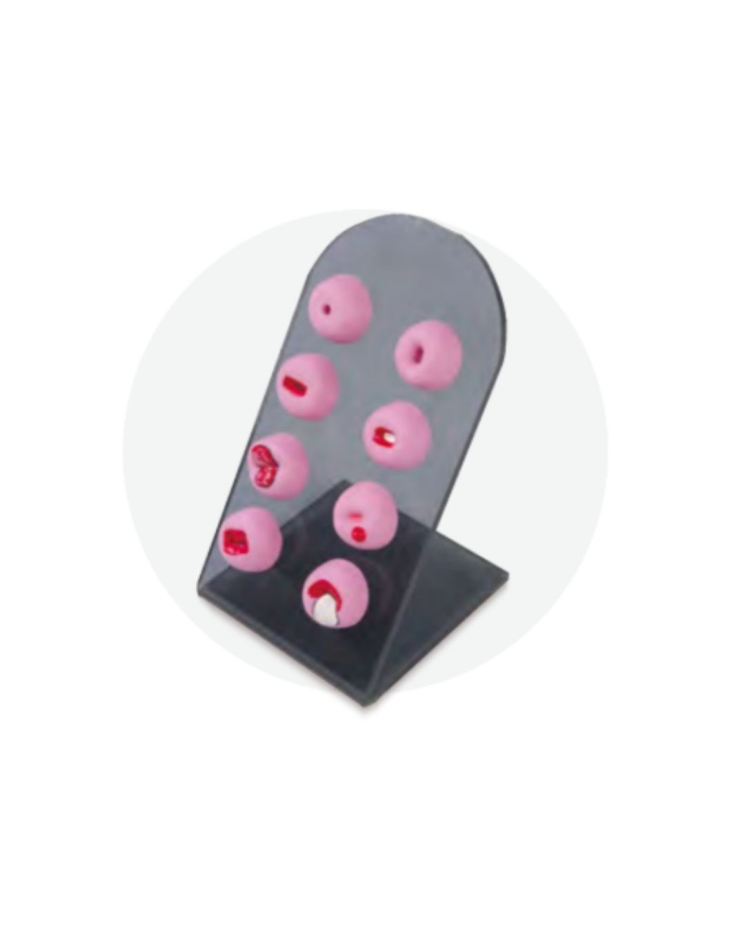 Cervical Lesions Model