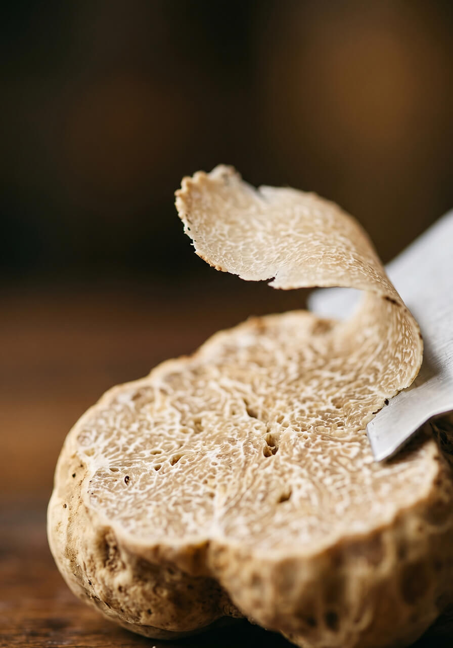 Срез белого трюфеля крупным планом, гастрономический аукцион Альба Пьемонт