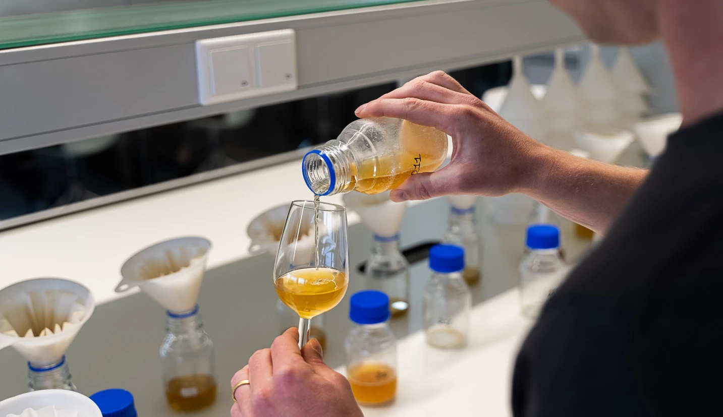 ストーリーイメージ