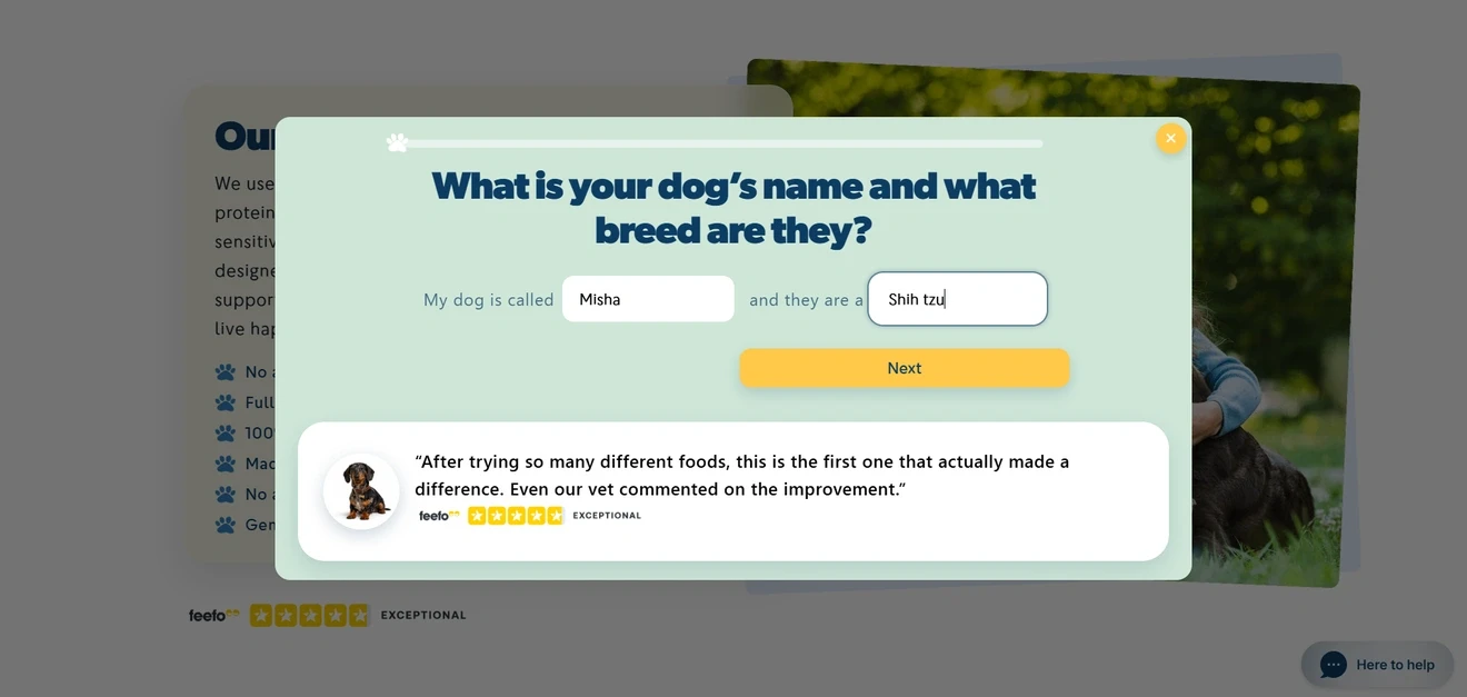Happy-Dog-UK