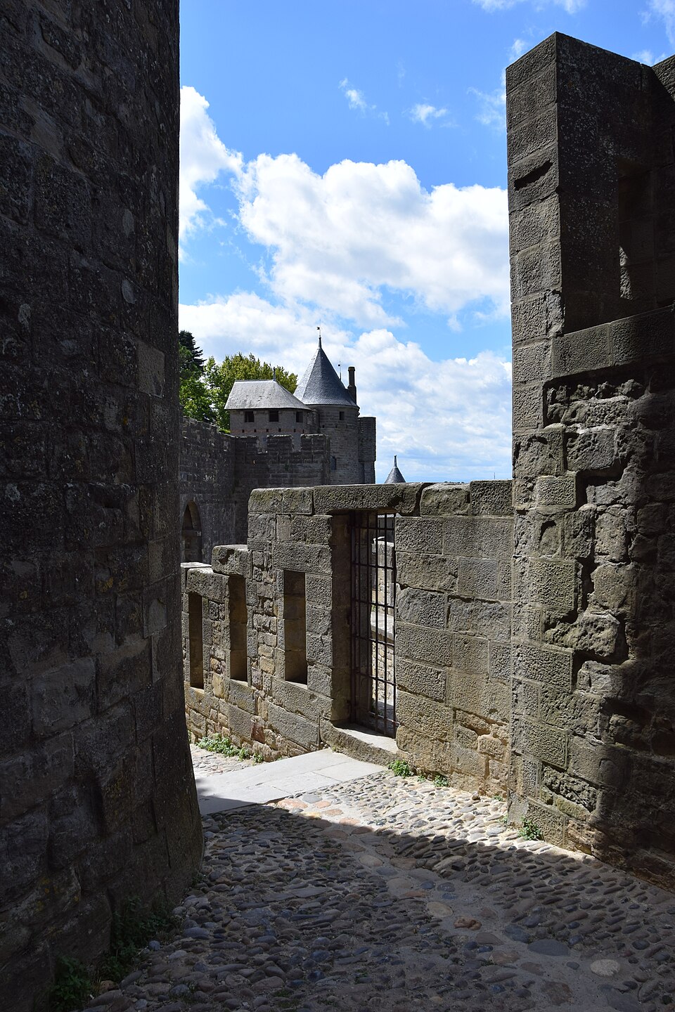 a tree with pink flowers in front of a store