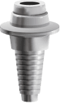 Dental Implant