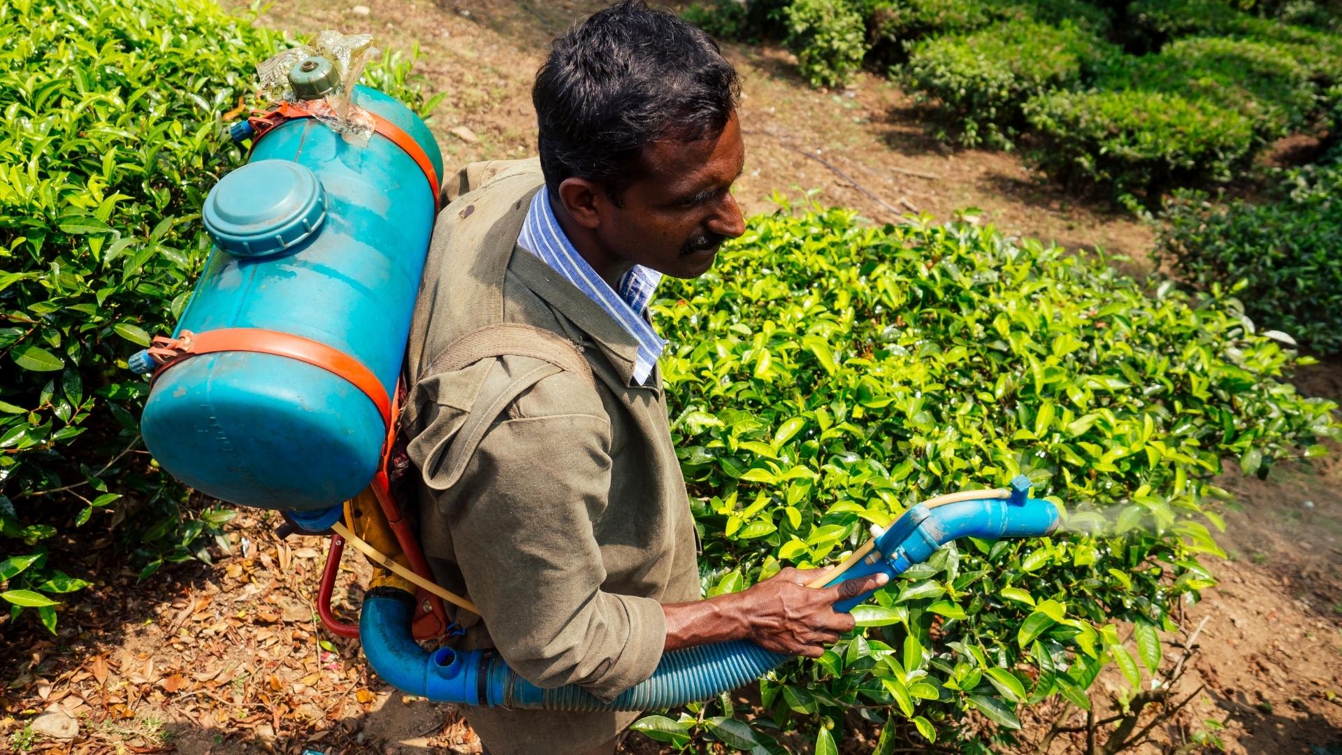 Why Integrated Pest Management (IPM) Works for Medicinal Plants