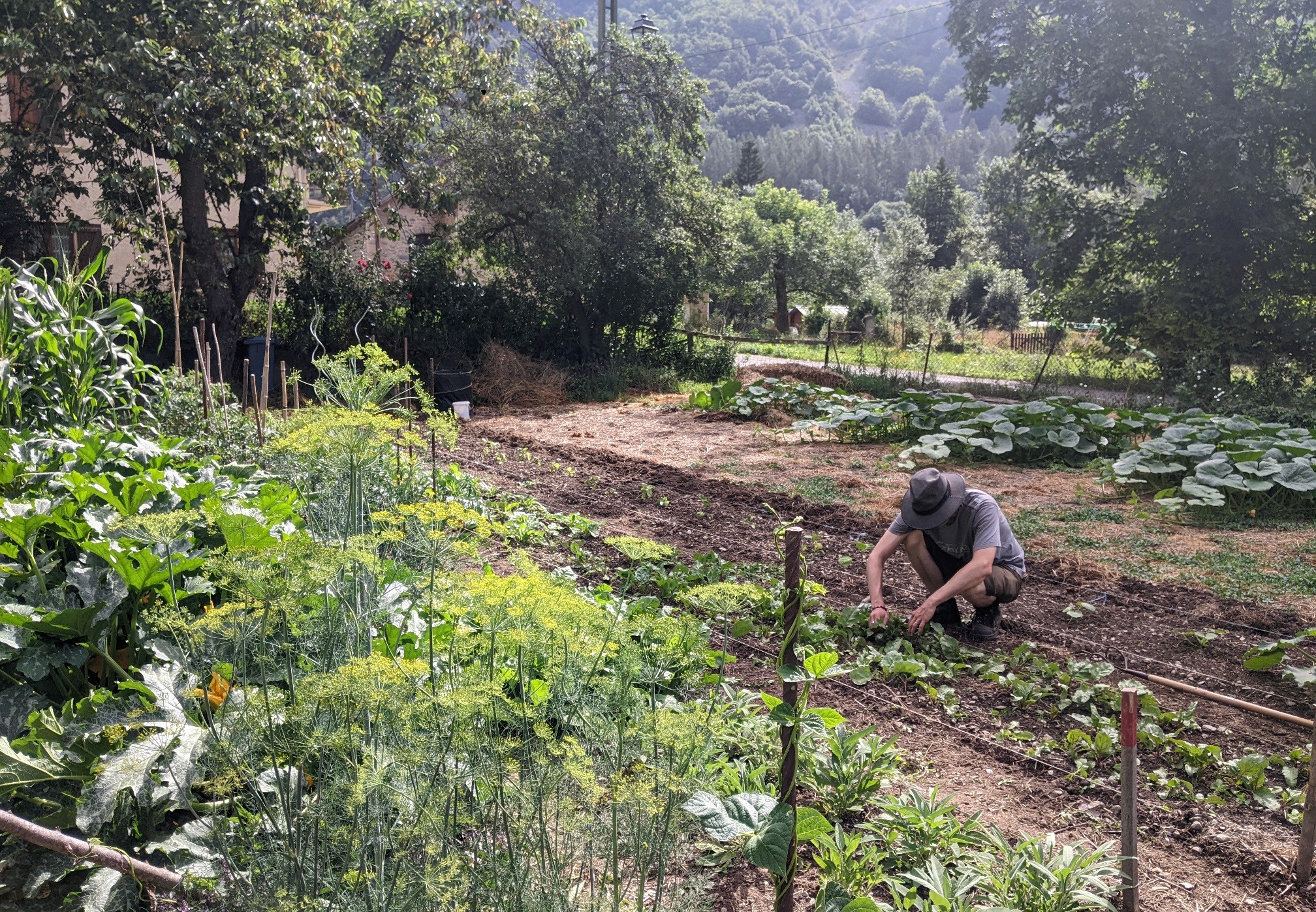 Le jardin de Verres Durs, un lieu rempli de verdure !