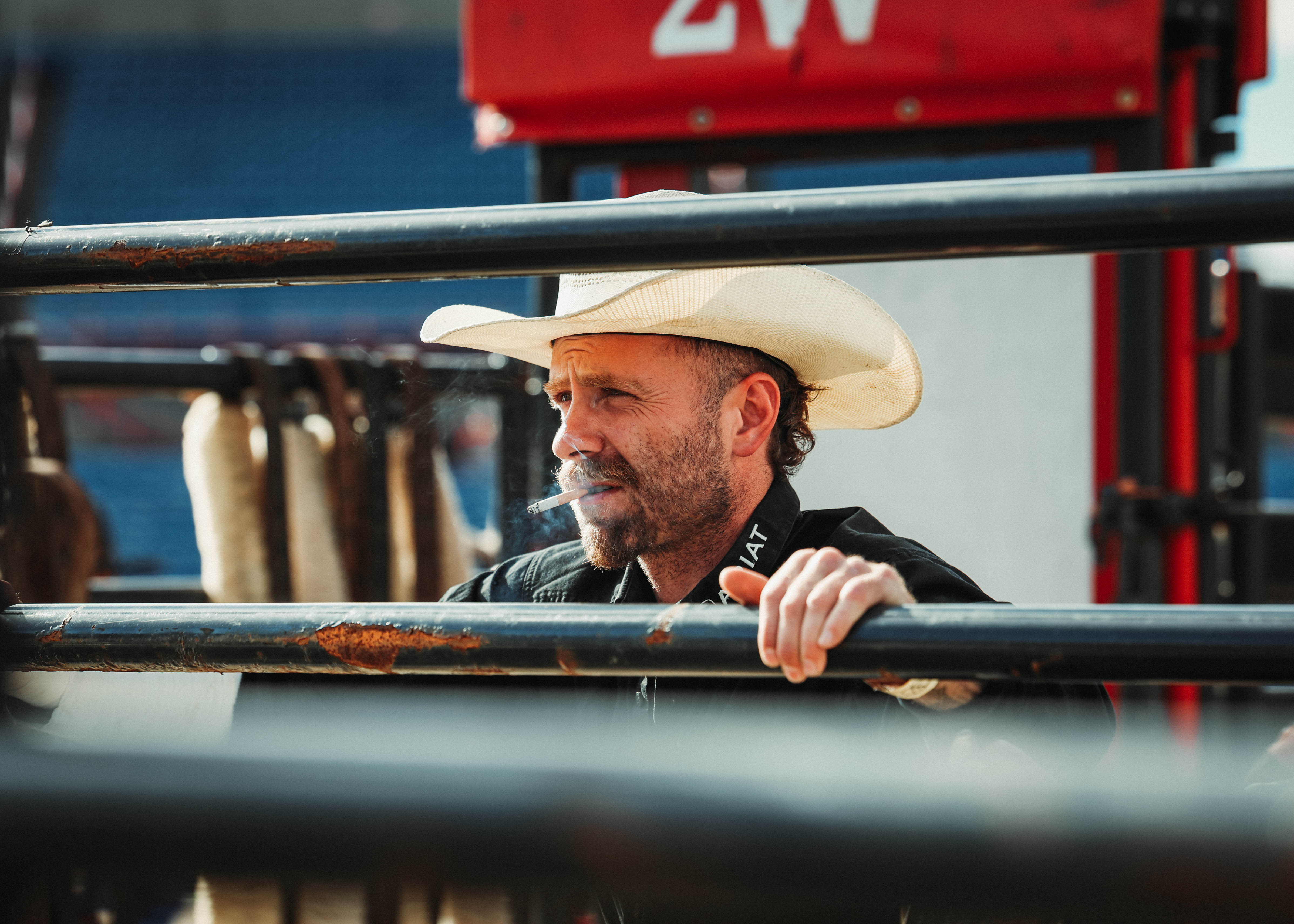 Rodeo portrait