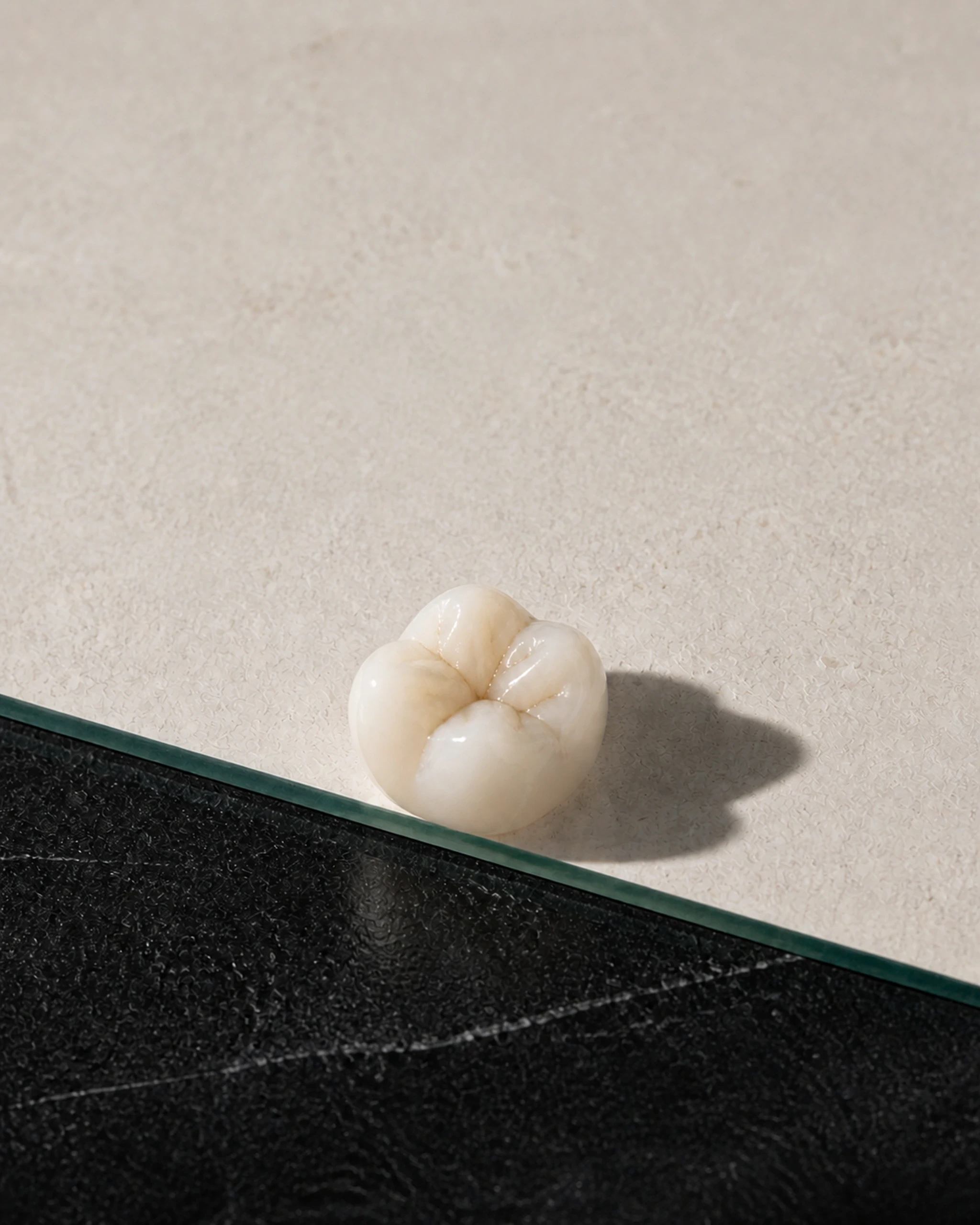 Corona posterior Smart Press