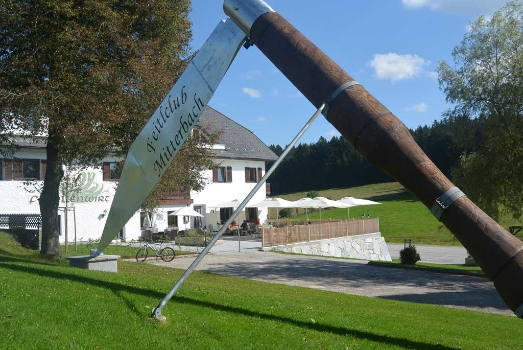 Close-up of lush, dark green leaves, some glossy and wet, against a muted background.