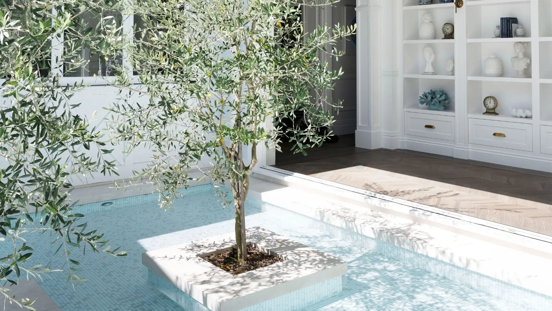 A tree in the middle of water in this Hamptons home in Noosa designed by Invilla Architecture