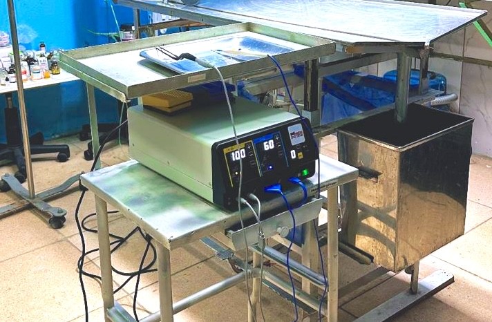 Close-up of a dark green leaf showing its textured surface and central vein against a muted background.